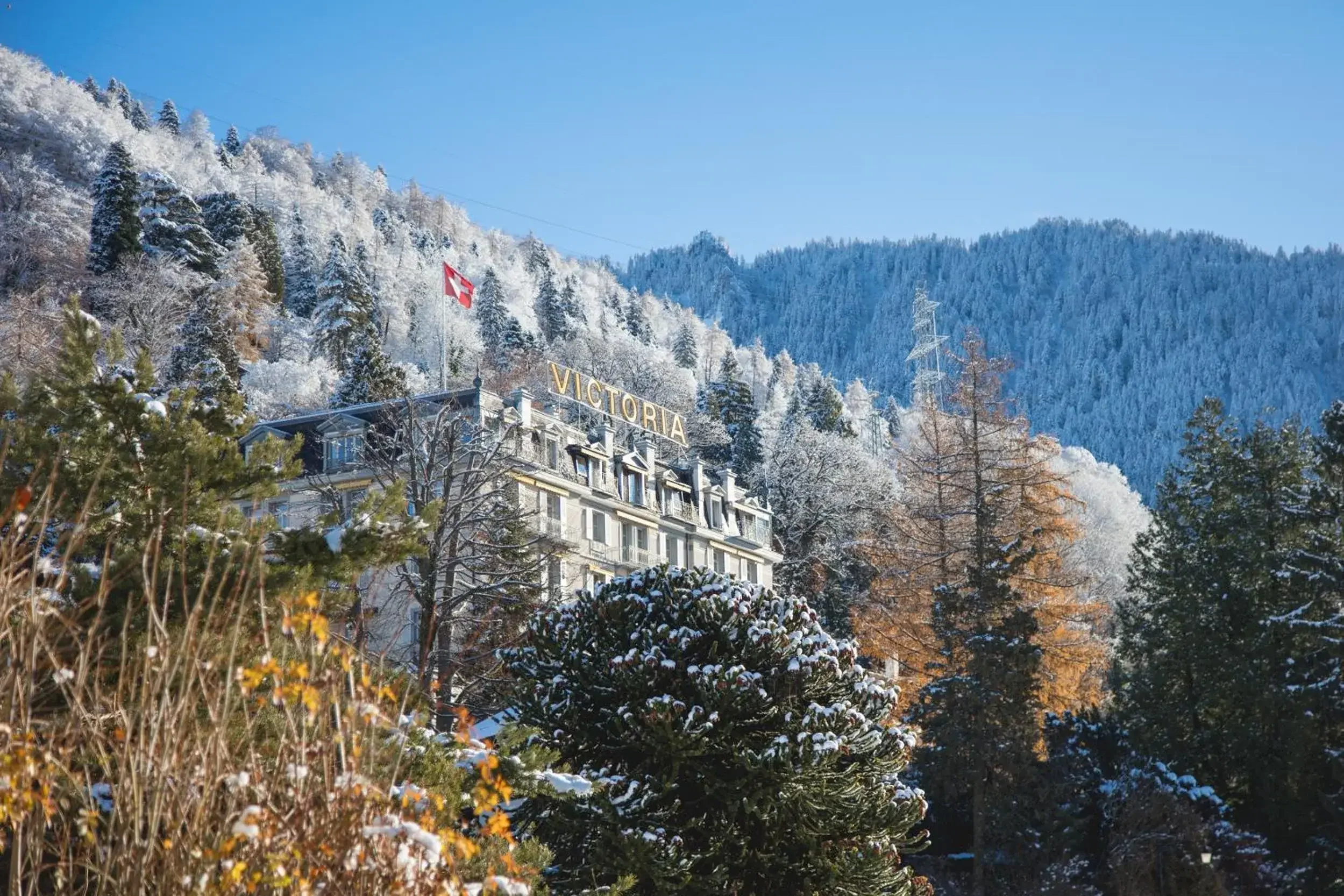 Hotel Victoria Glion, CH