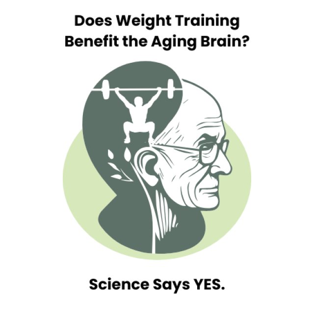 🧠🏋️&zwj;♀️ Weight Training for Your Brain? Science Says YES.
Credit:  Dr. Joseph Mercola - Mercola.com

A groundbreaking study from Brazil's State University of Campinas shows that just 2 days a week of resistance training over 6 months preserved b