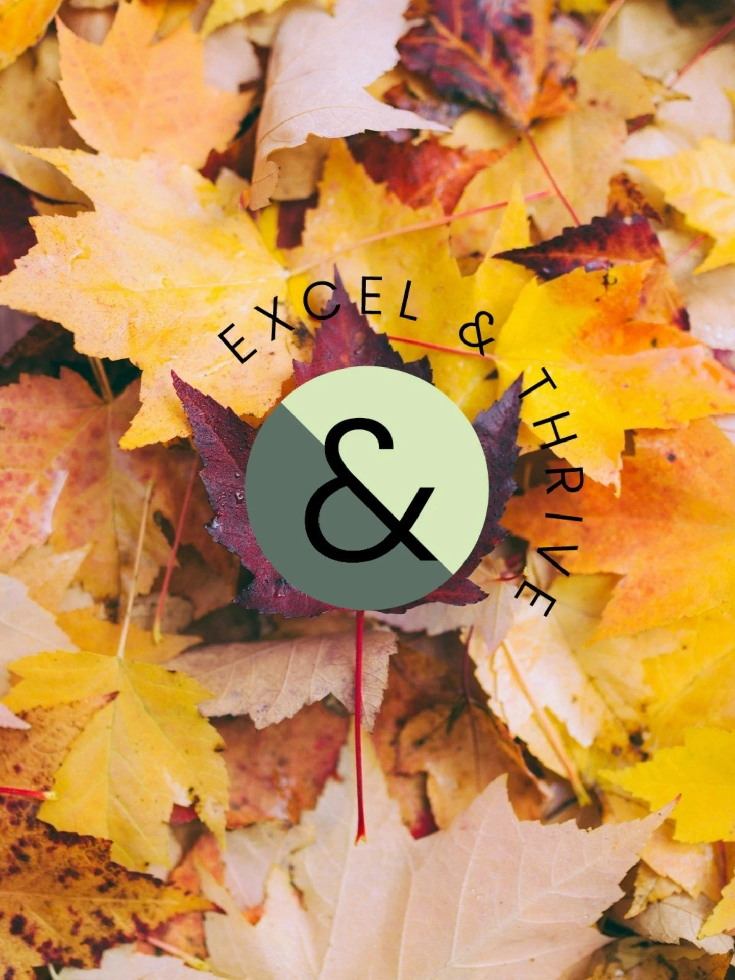 🍂 It&rsquo;s that time of year again, football season is upon us! Whether you&rsquo;re cheering for your favorite team from the comfort of your couch or hosting a game day gathering, there&rsquo;s one thing that can always elevate the experience: de
