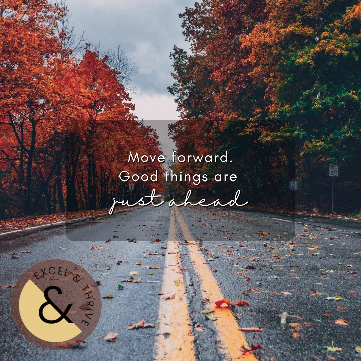 Fall reminds us that just like nature, we too can let go of what no longer serves us. It&rsquo;s a season for shedding old habits that weigh us down.

This is your gentle nudge to embrace the beauty of change. What can you let go of this season? Mayb