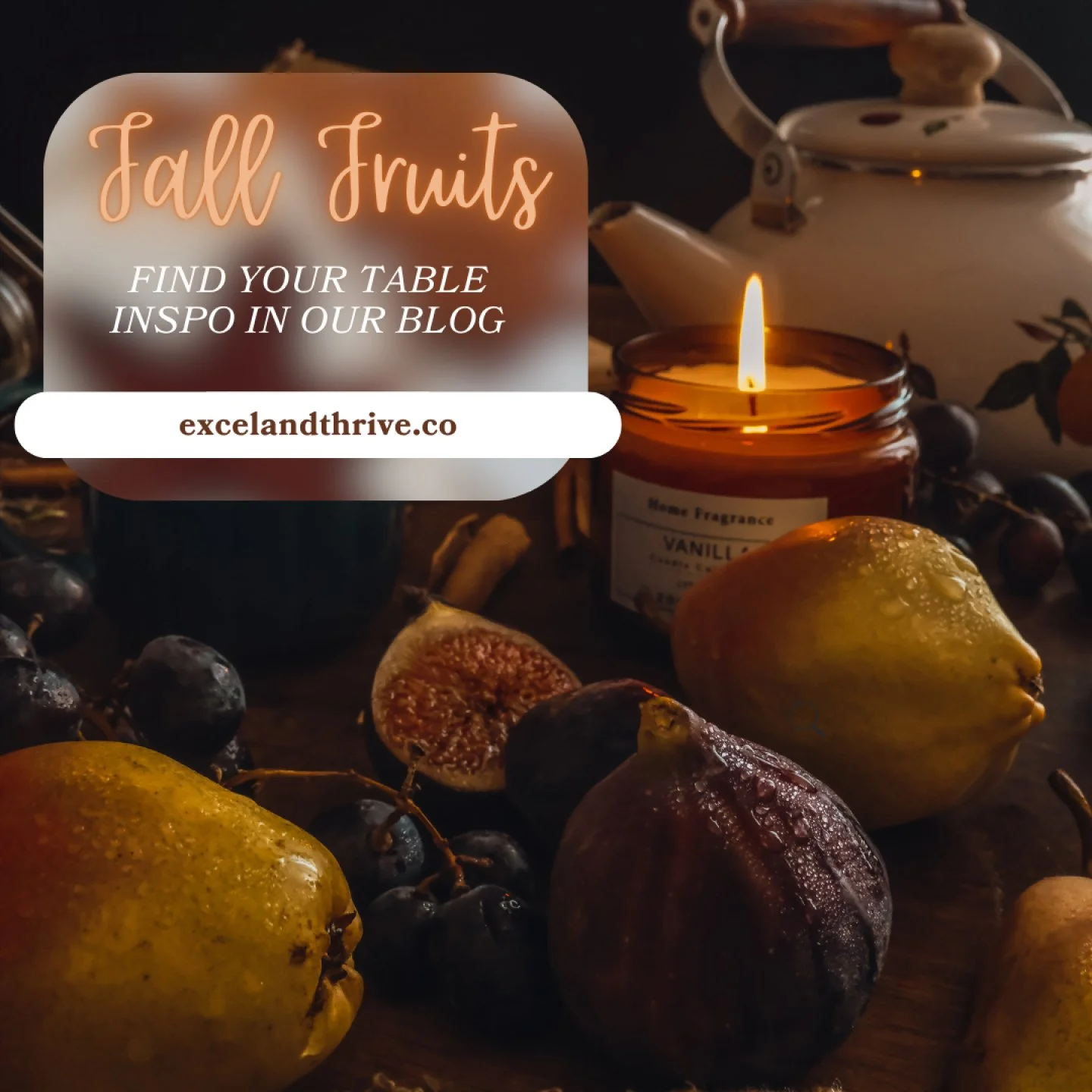 Happy Monday, everyone! Did you know that pumpkin is actually a fruit?!

Over the weekend, we shared a list of seasonal fruits in our blog, keeping you updated on all the delicious and nutritious options that are currently fresh and in season. 

Each