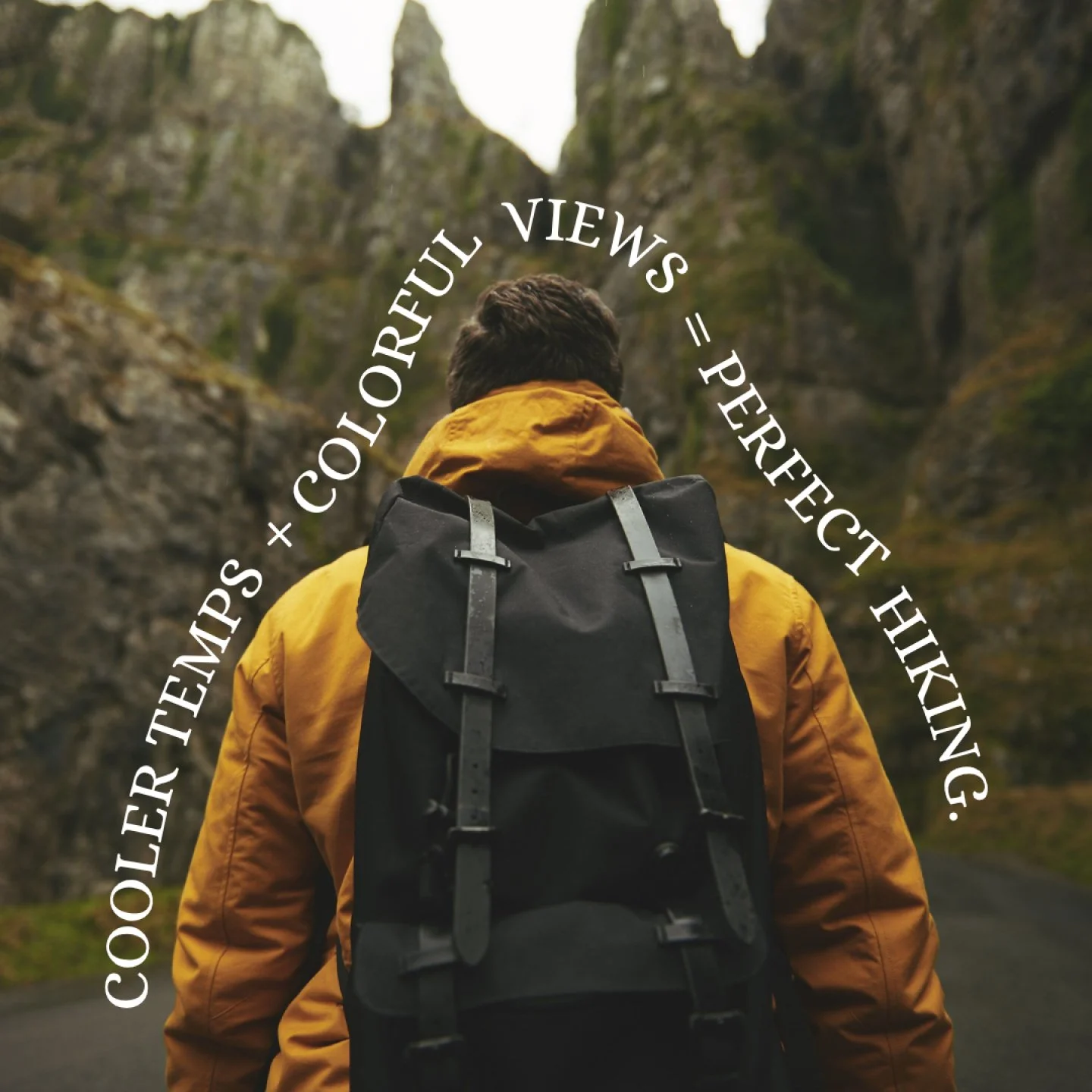 This week on the blog, we&rsquo;re sharing our top tips for a healthy hiking experience. 🍂 Before you lace up your hiking boots, ensure you&rsquo;re prepared for a safe and energizing adventure! 

As you plan your excursions, don't forget to check t