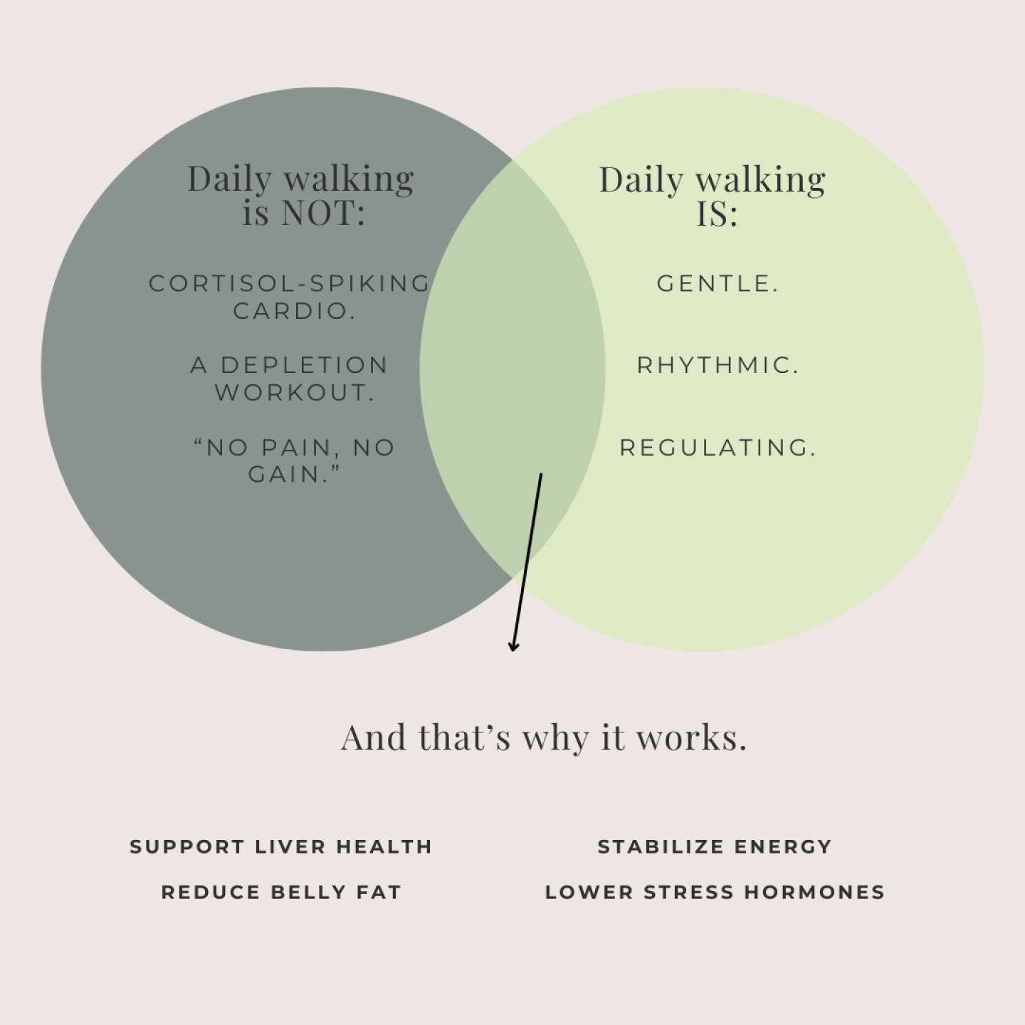 We believe wellness should be simple, rooted, and sustainable.
Whether it&rsquo;s the food on your plate, the products in your home, or the way you start your day, every choice is a chance to feel better than you did the day before.

We&rsquo;re here