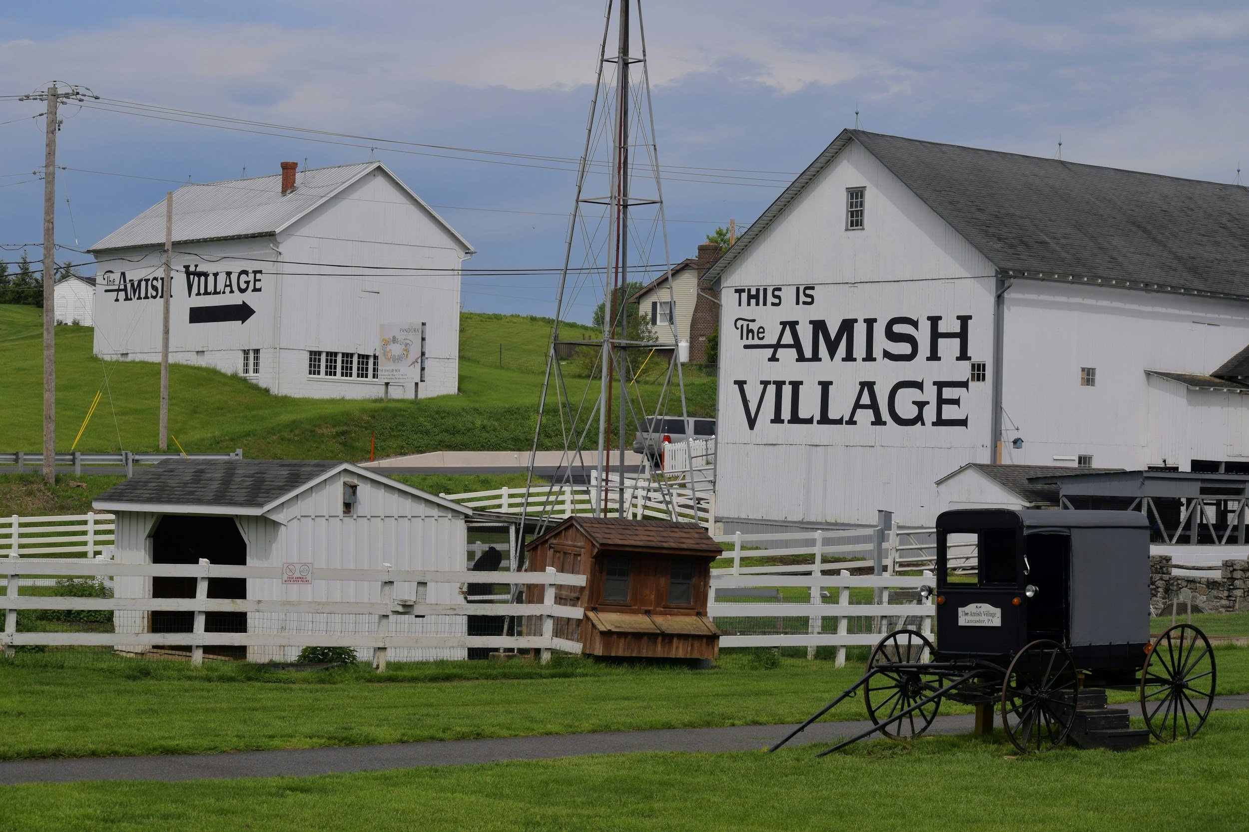 Why Are the Amish So Healthy?