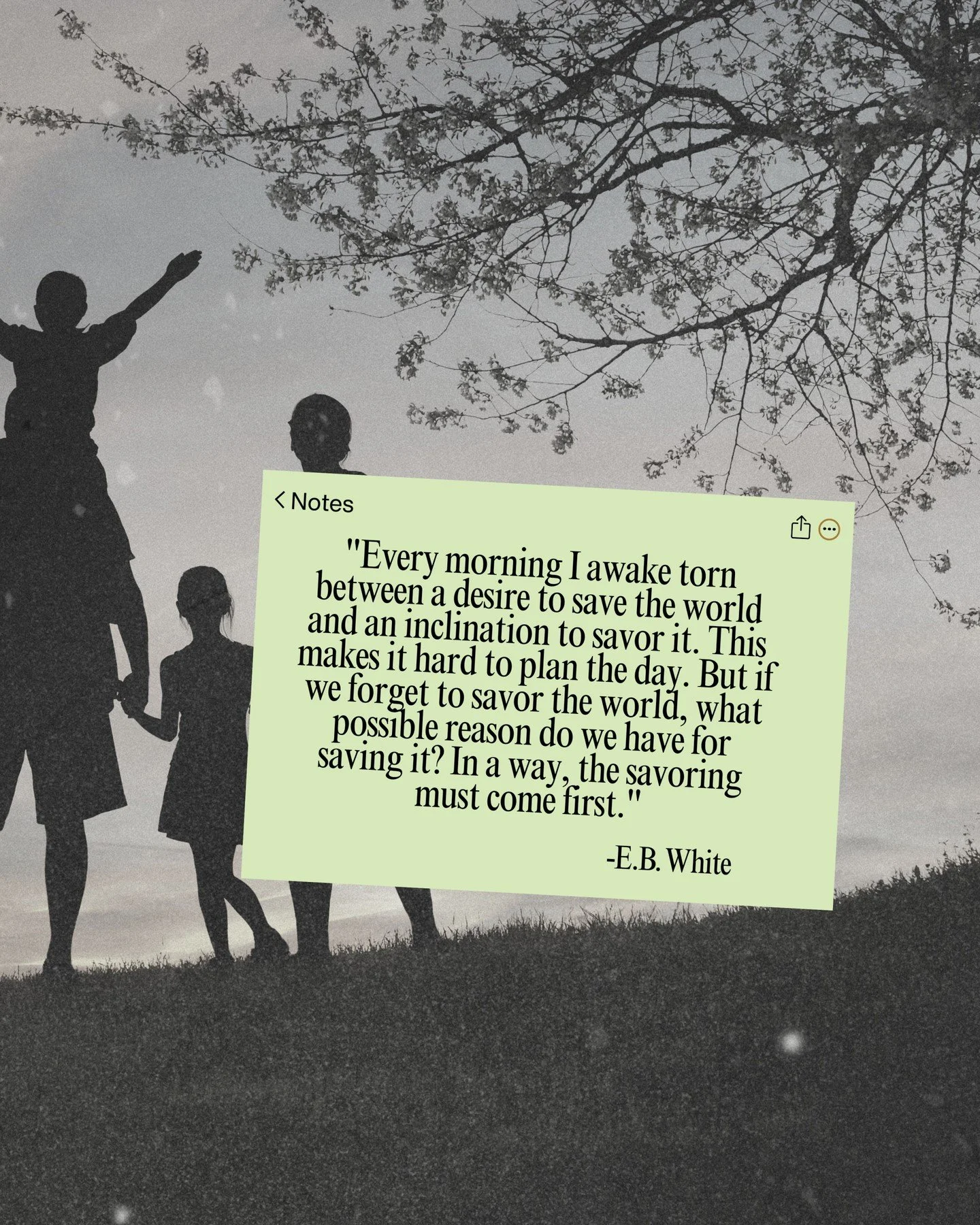 We often talk about the latest health trends, nutritional benefits, and wellness hacks designed to optimize our bodies. But amidst all that, there's a crucial aspect of well-being that often gets overlooked: the moments of joy and connection we want 
