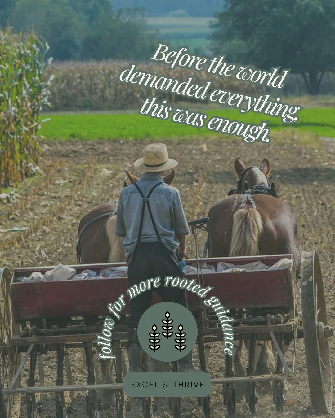 When we prioritize happiness and meaningful moments with loved ones, we create a holistic approach to wellness that goes beyond just physical health. Laughing with friends, sharing a meal, or simply enjoying a sunset, it can all significantly boost o