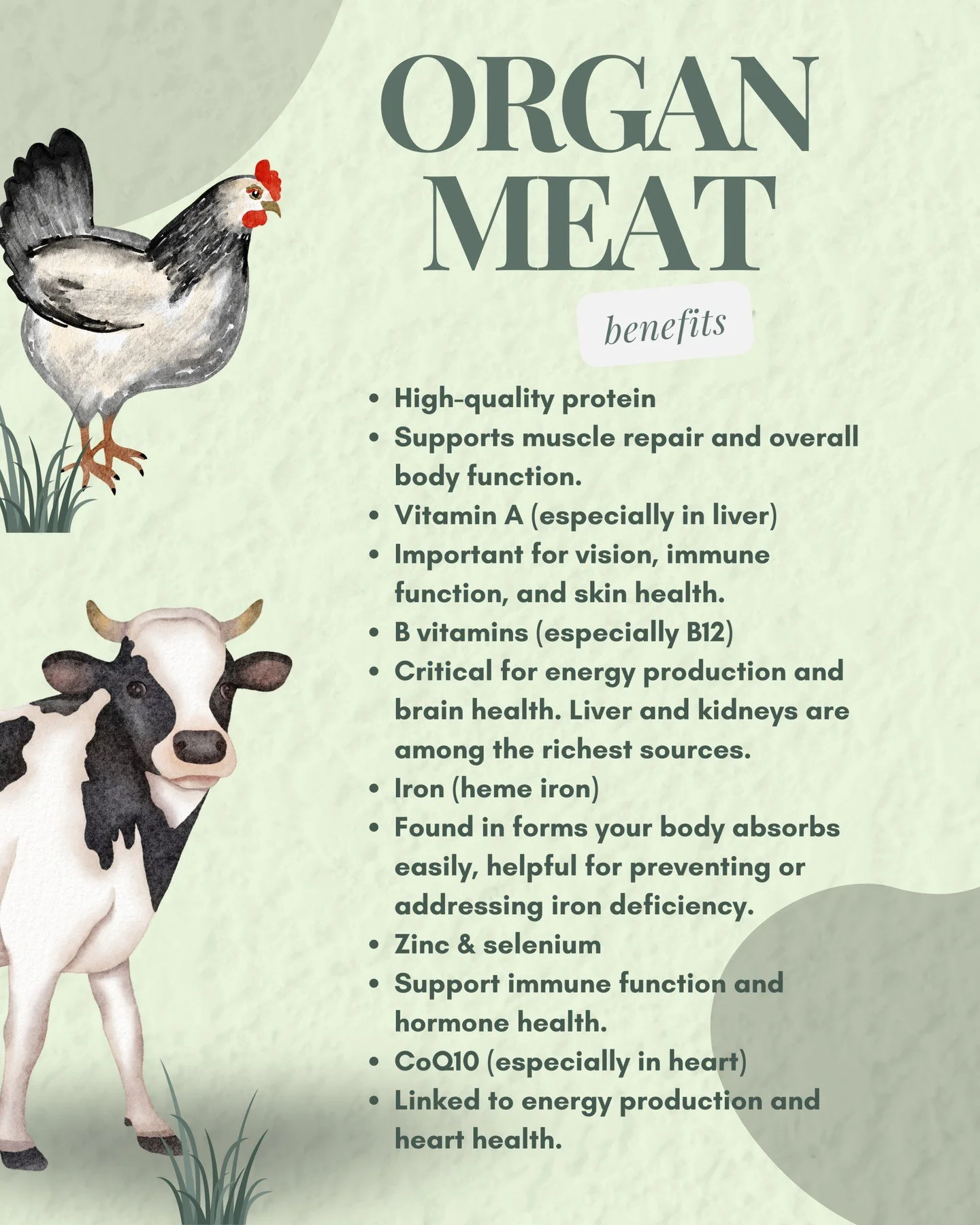 From liver to heart, these often-overlooked delicacies are nature&rsquo;s multivitamin! Not only are they nutrient-dense, but they also tend to be more affordable compared to conventional cuts of meat! 🙌

Incorporating organ meats into your diet doe
