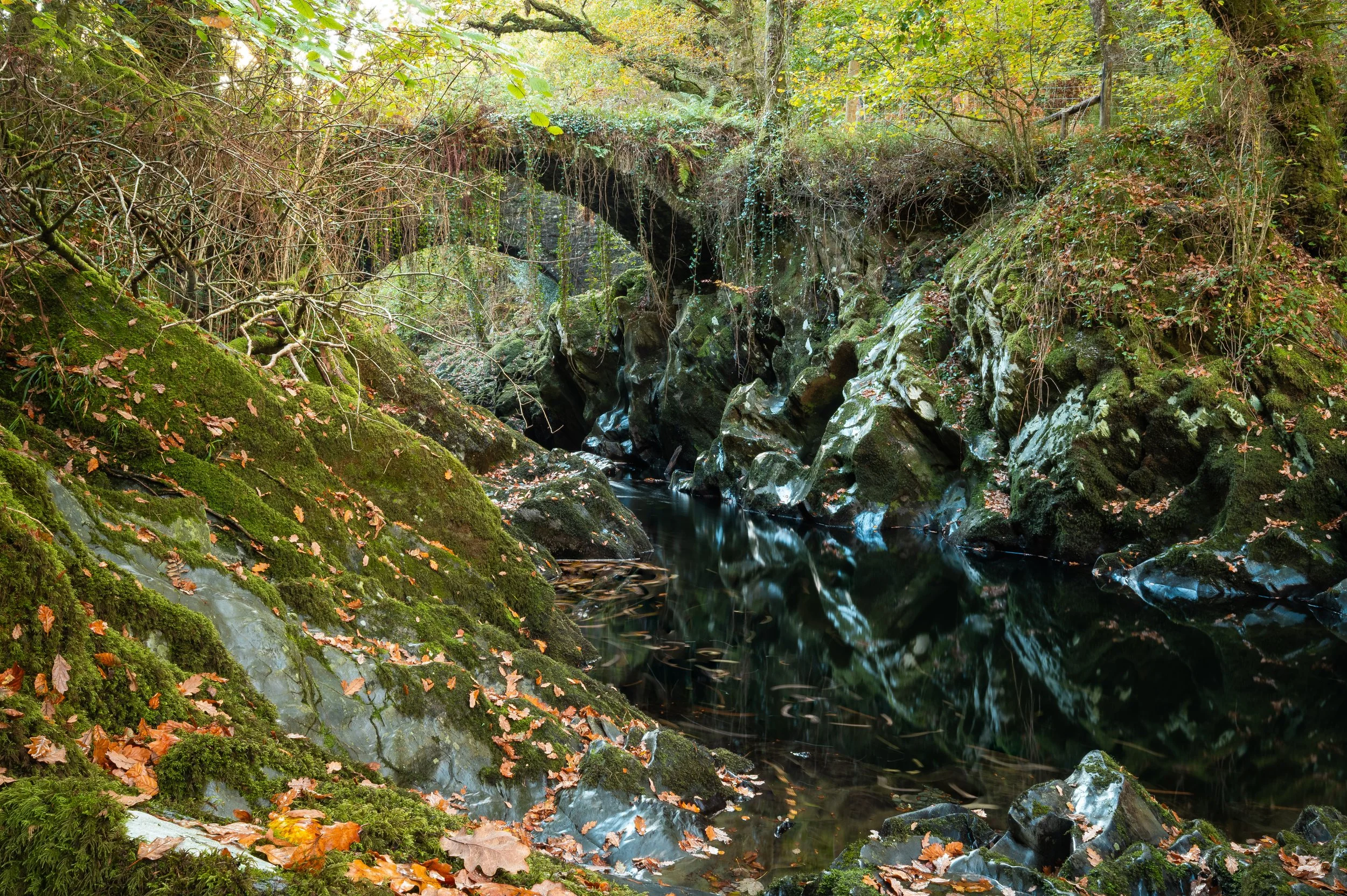 The Glen that Time forgot