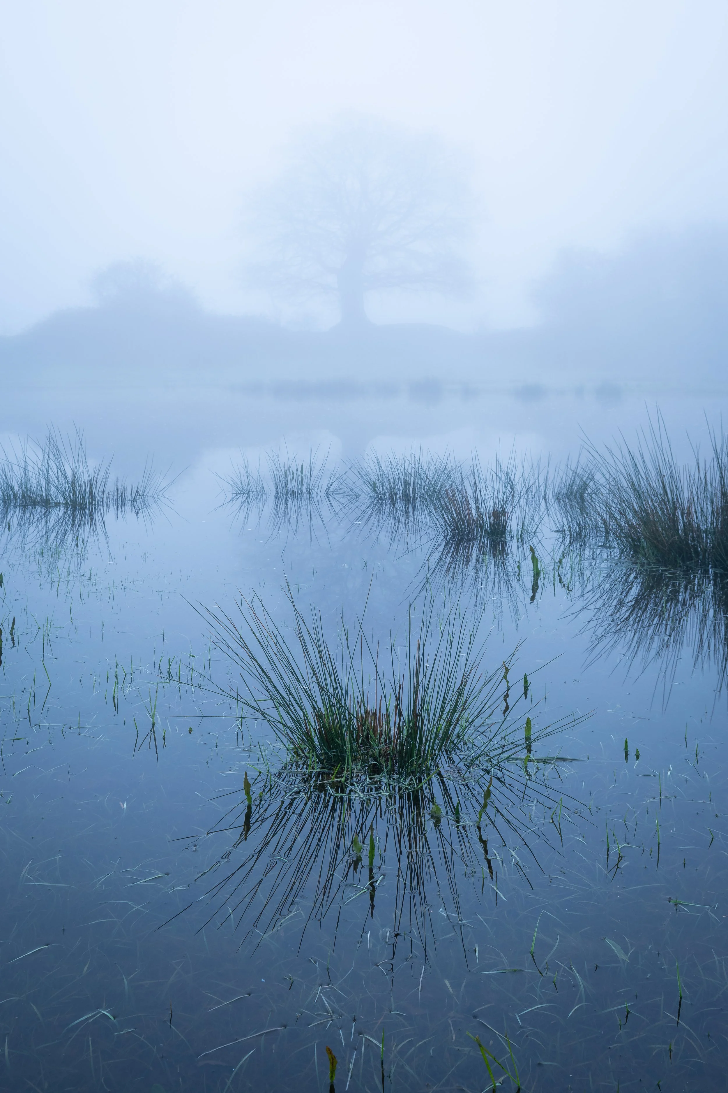 Sentinel Beyond the Veil