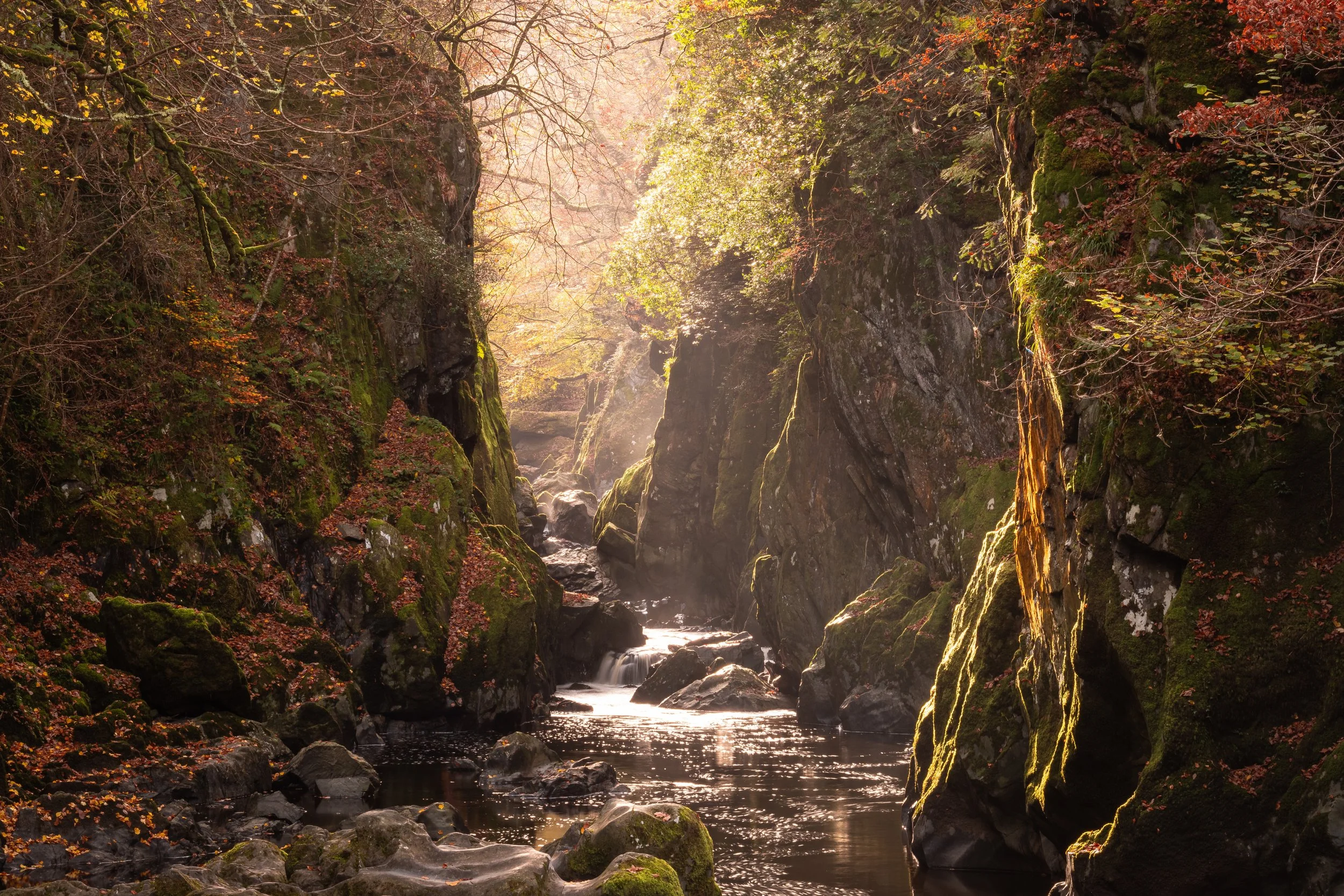 Stillness Between The Stones