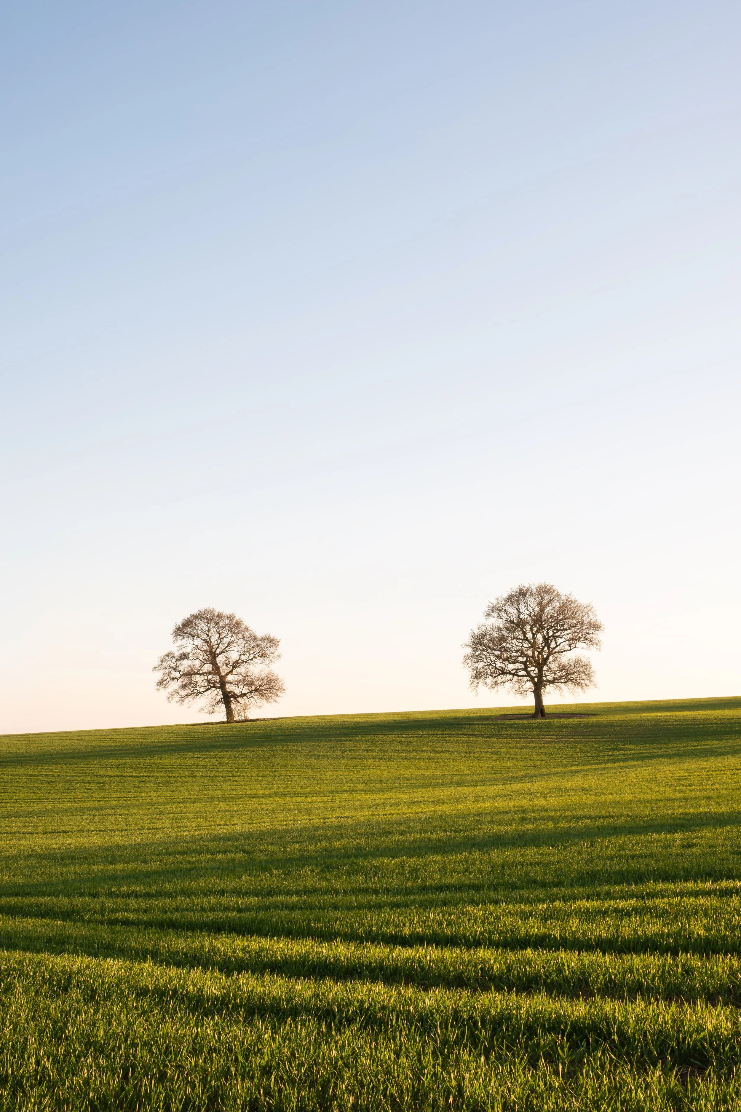 Discovering Dale Abbey