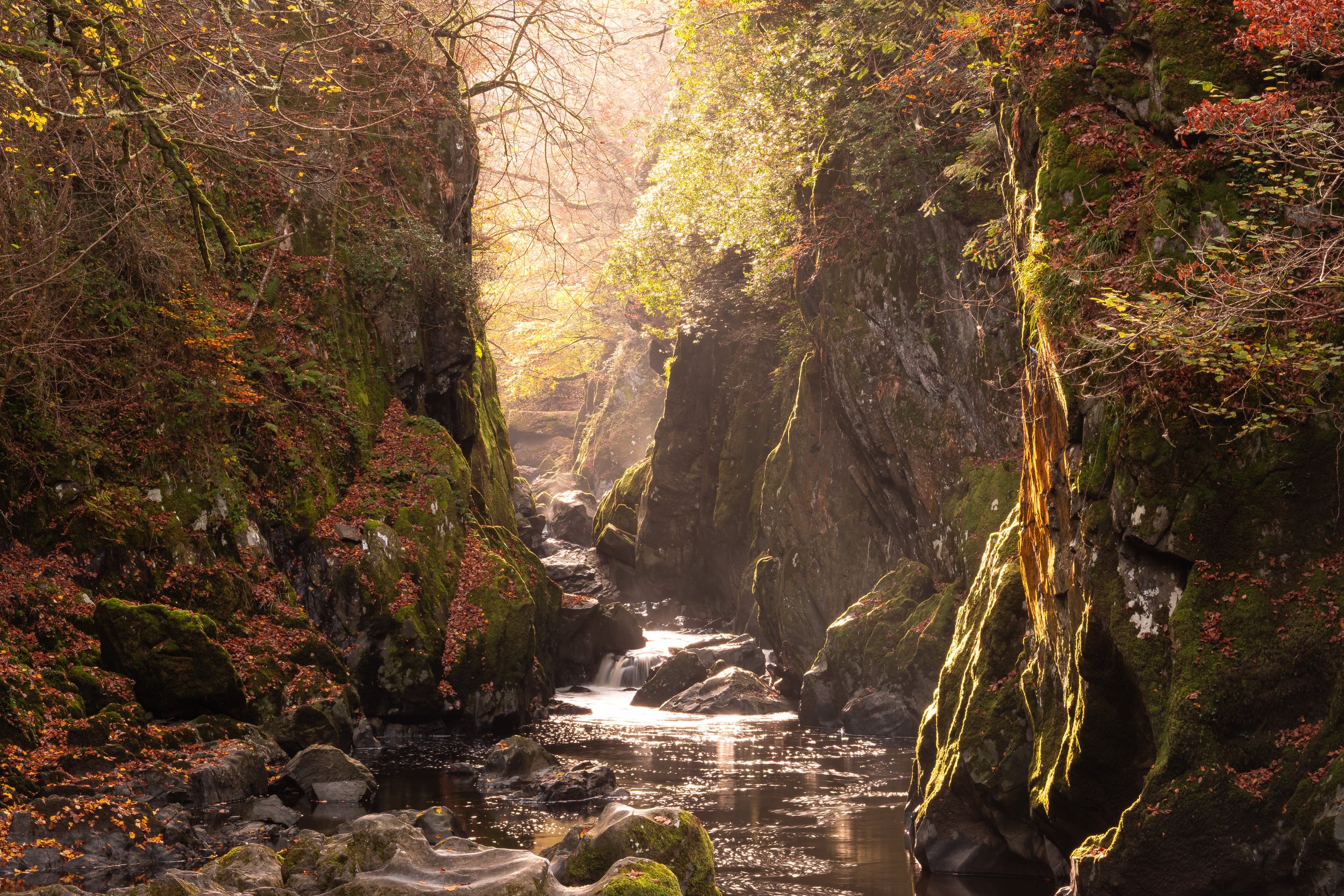 Between Stone and Silence