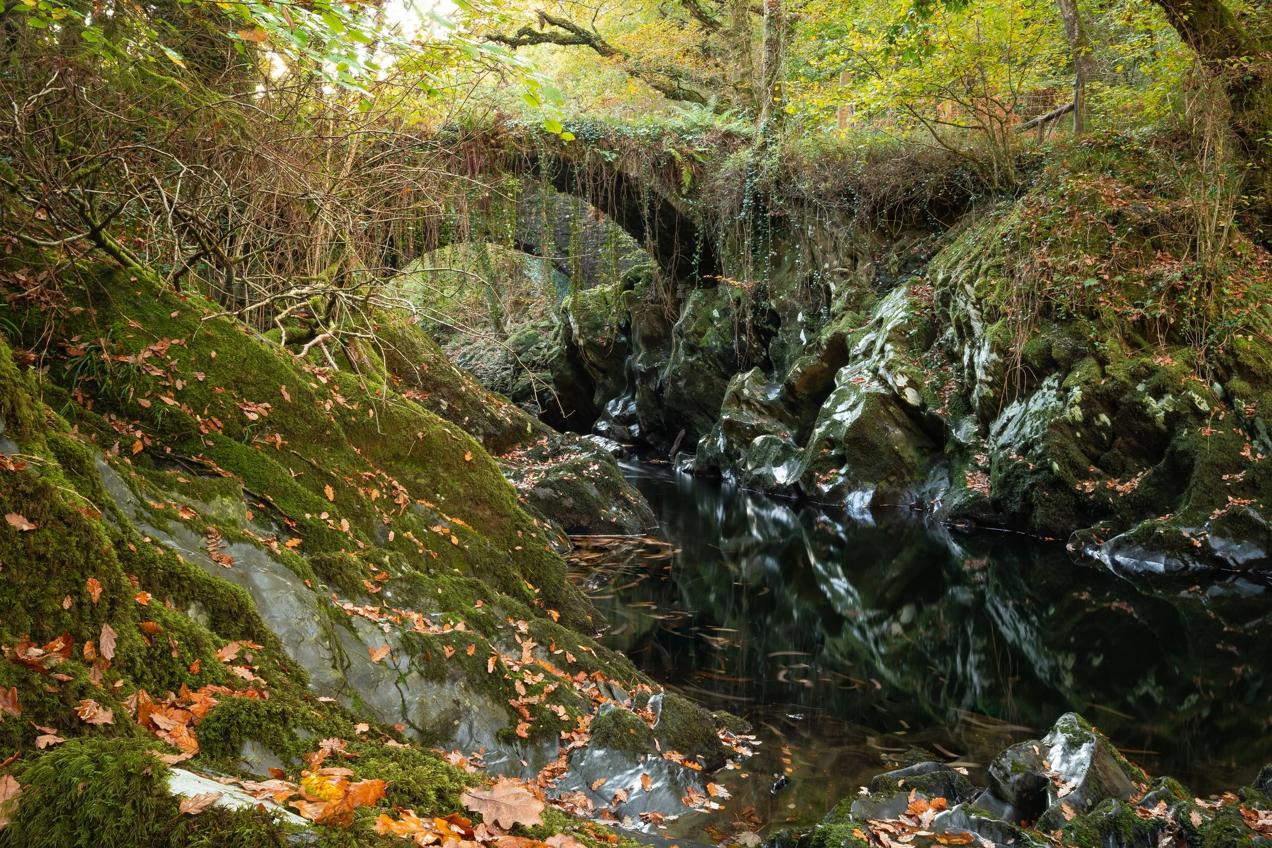 DSCF0289.jpg