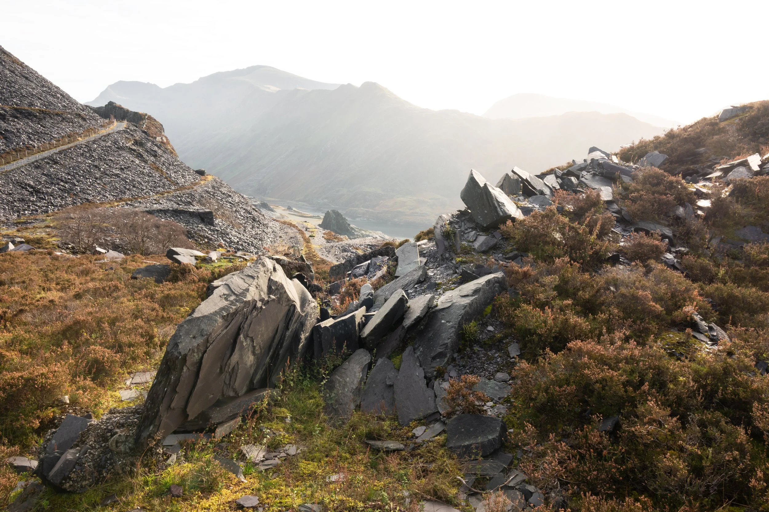 What The Mountain Left Behind.jpg