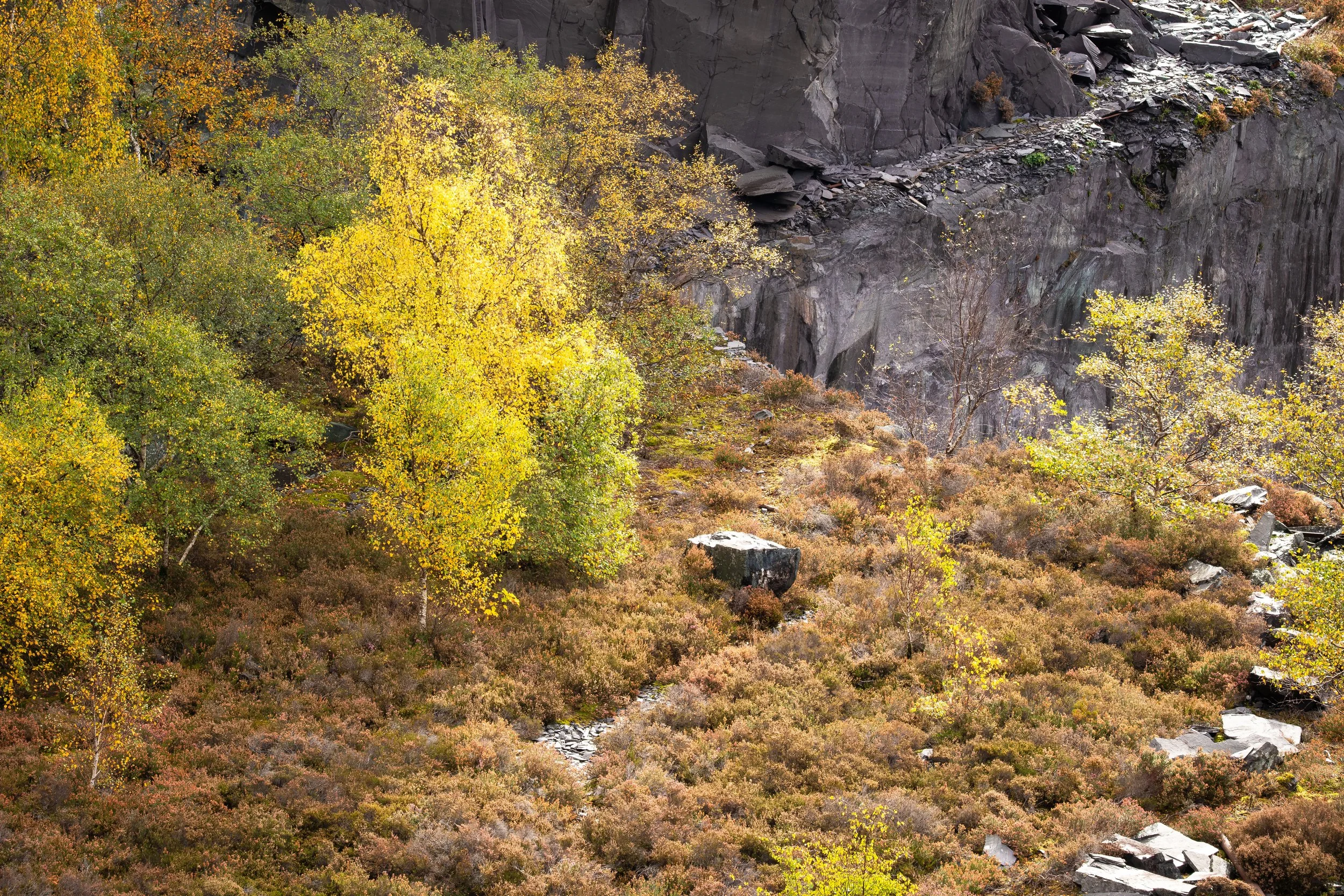 The Flame of Dinorwic II