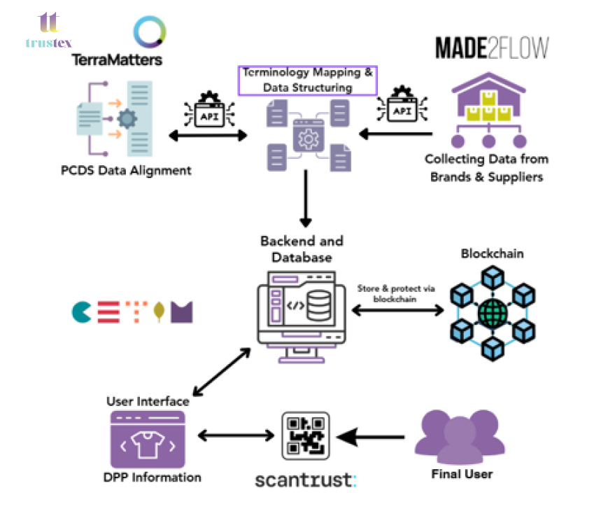 TRUSTex's Draft DPP Infrastructure Description