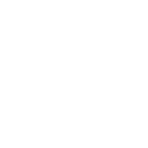 Cigdem Alarcin