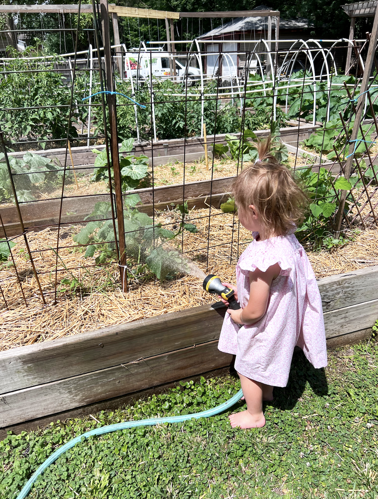 Screen Shot 2024-06-18 at 12.52.39 PM.png