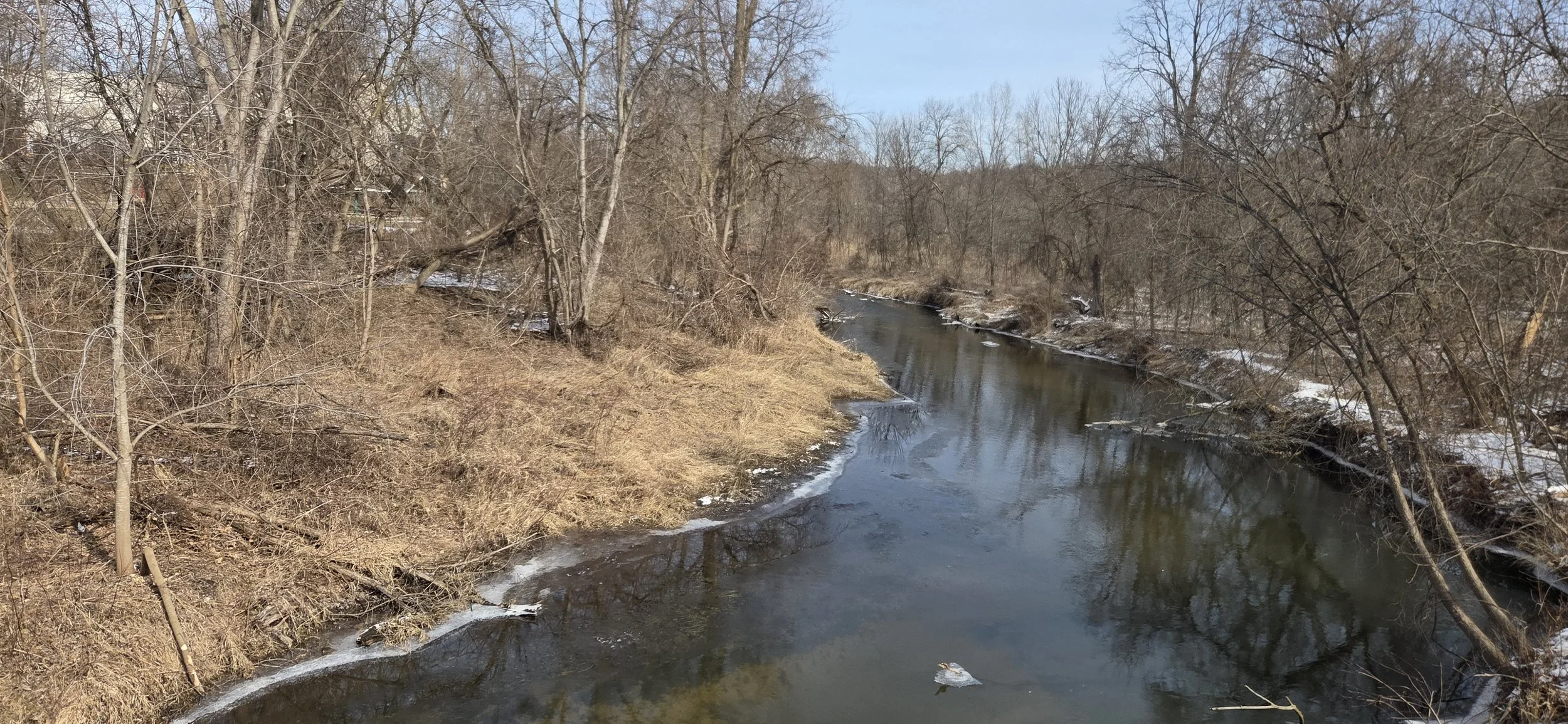 Grand River Cleanup with LGROW