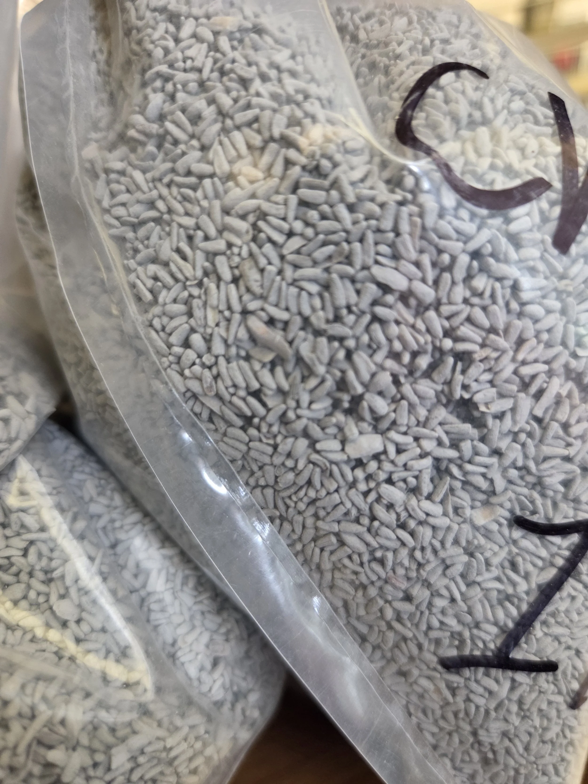 Chicory (1lb)