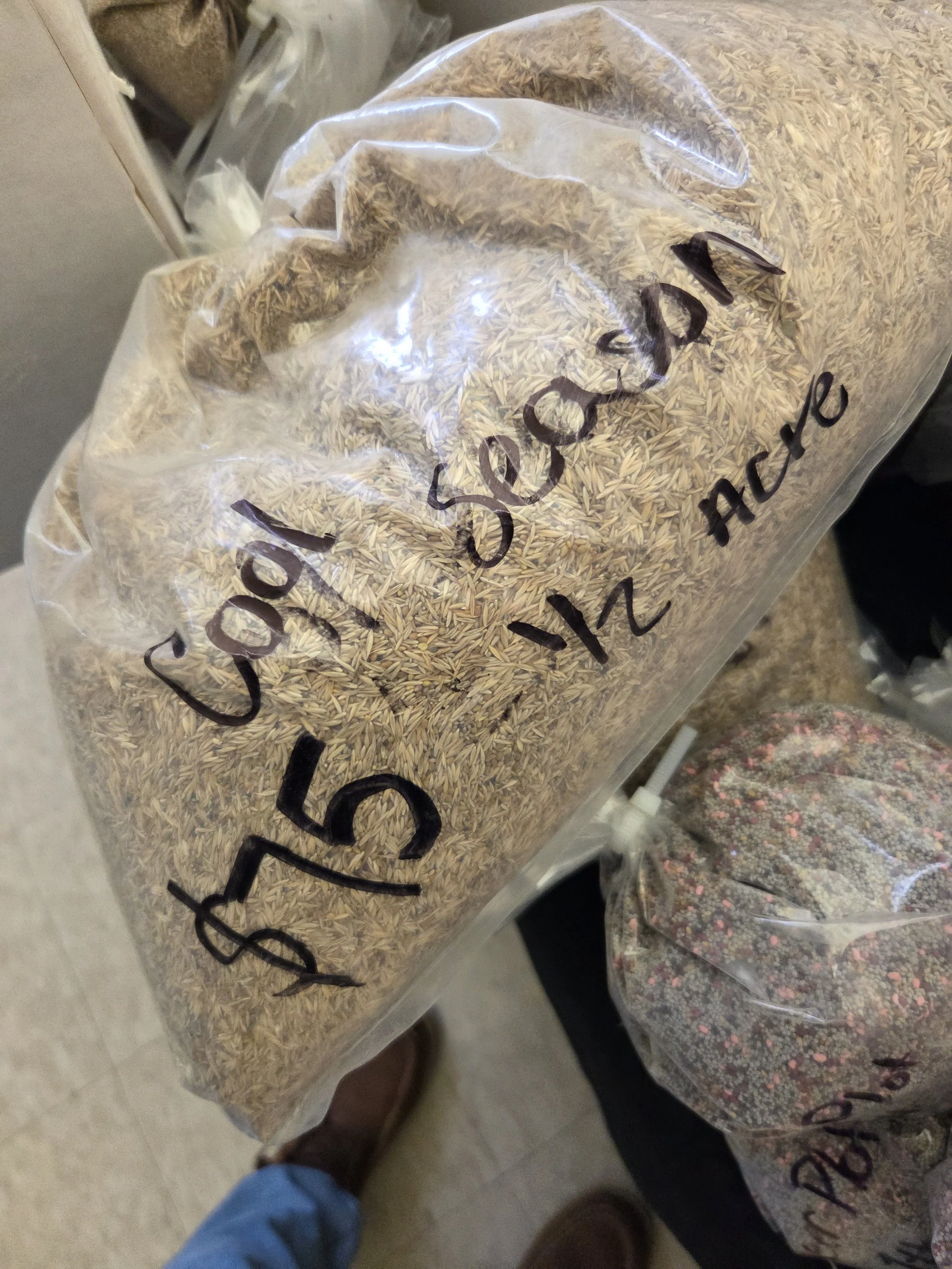 CoolSeasonGrassSeed1.jpg