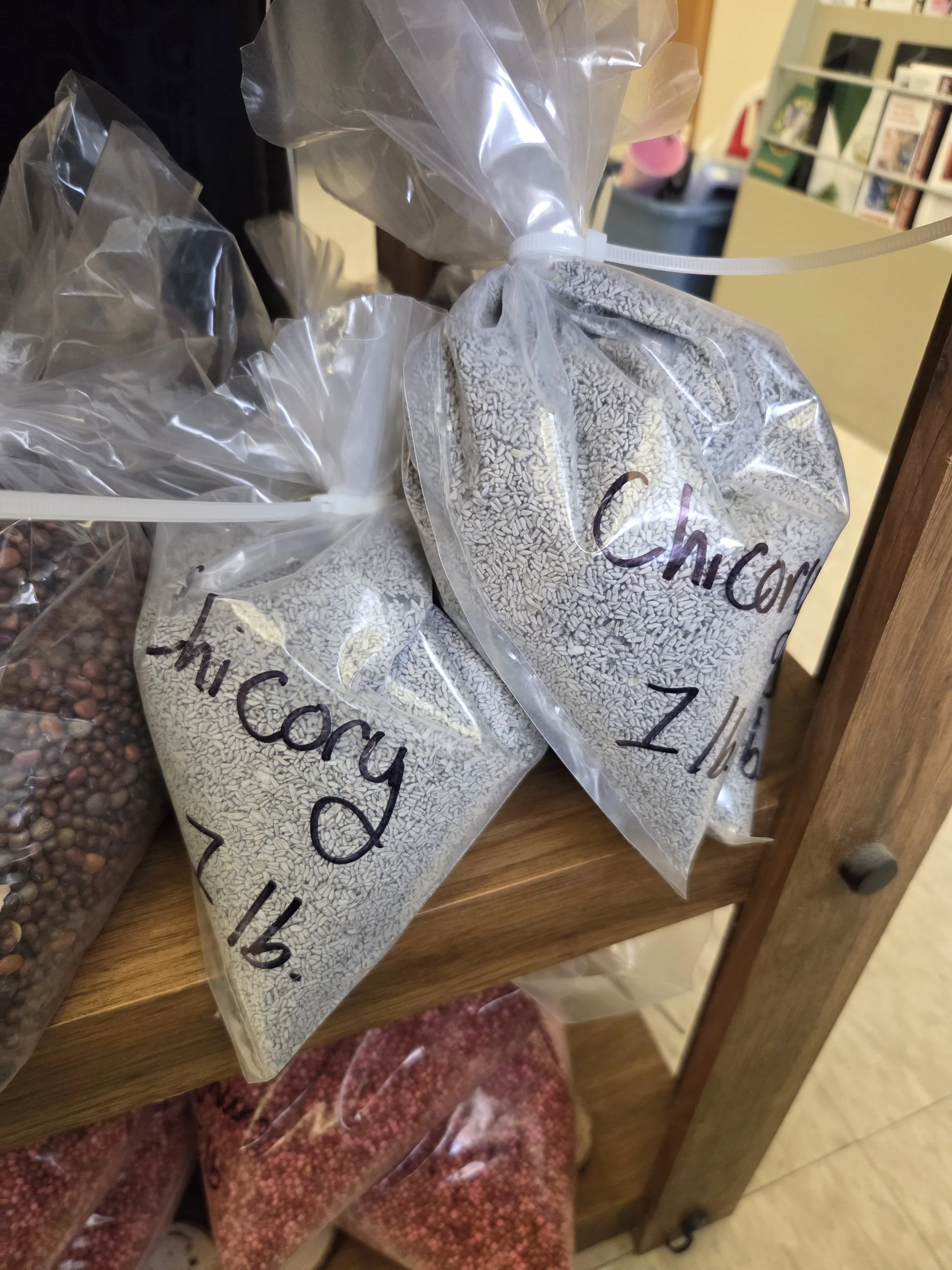 Chicory1.jpg