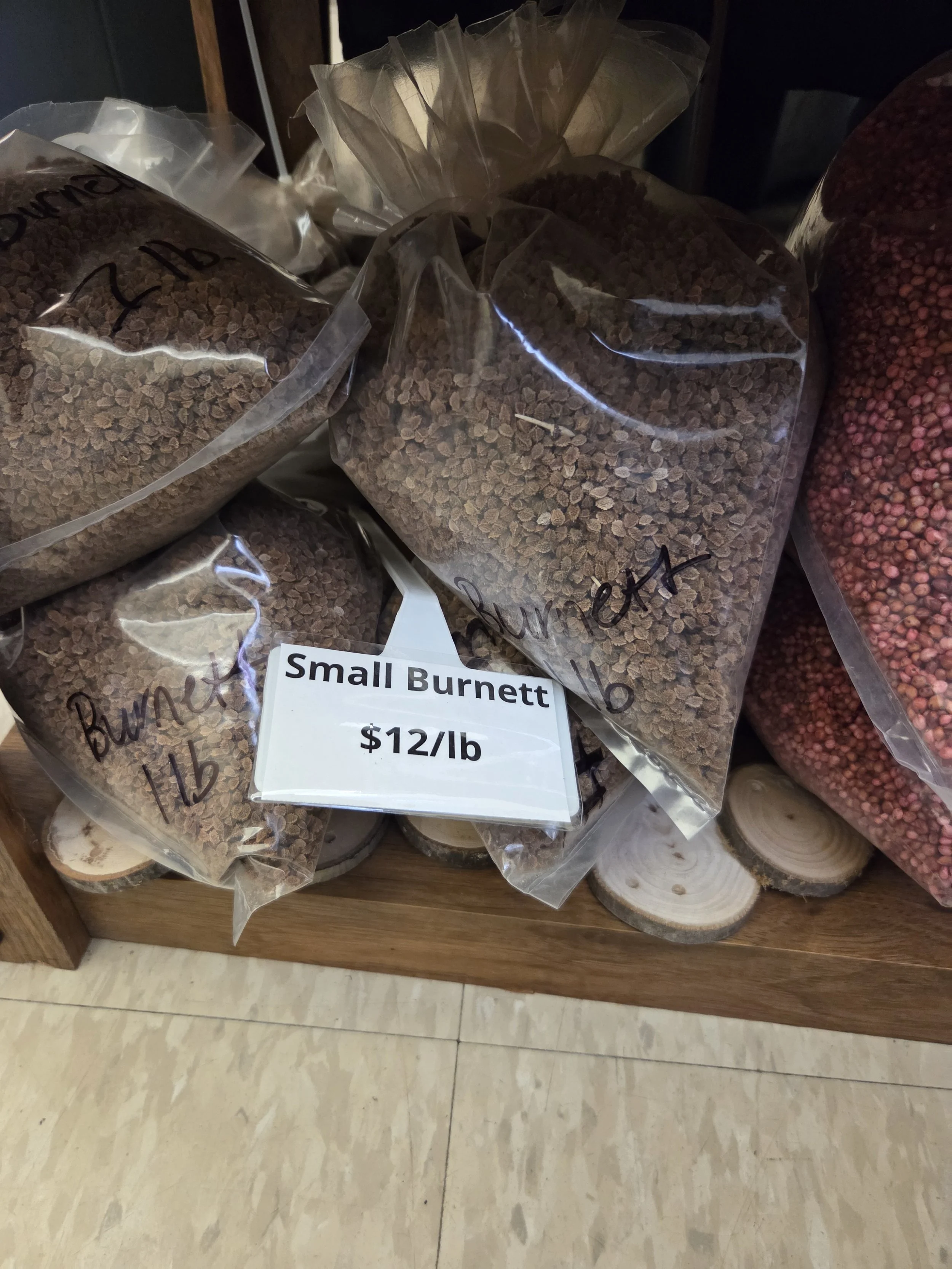 SmallBurnettSeed2.jpg