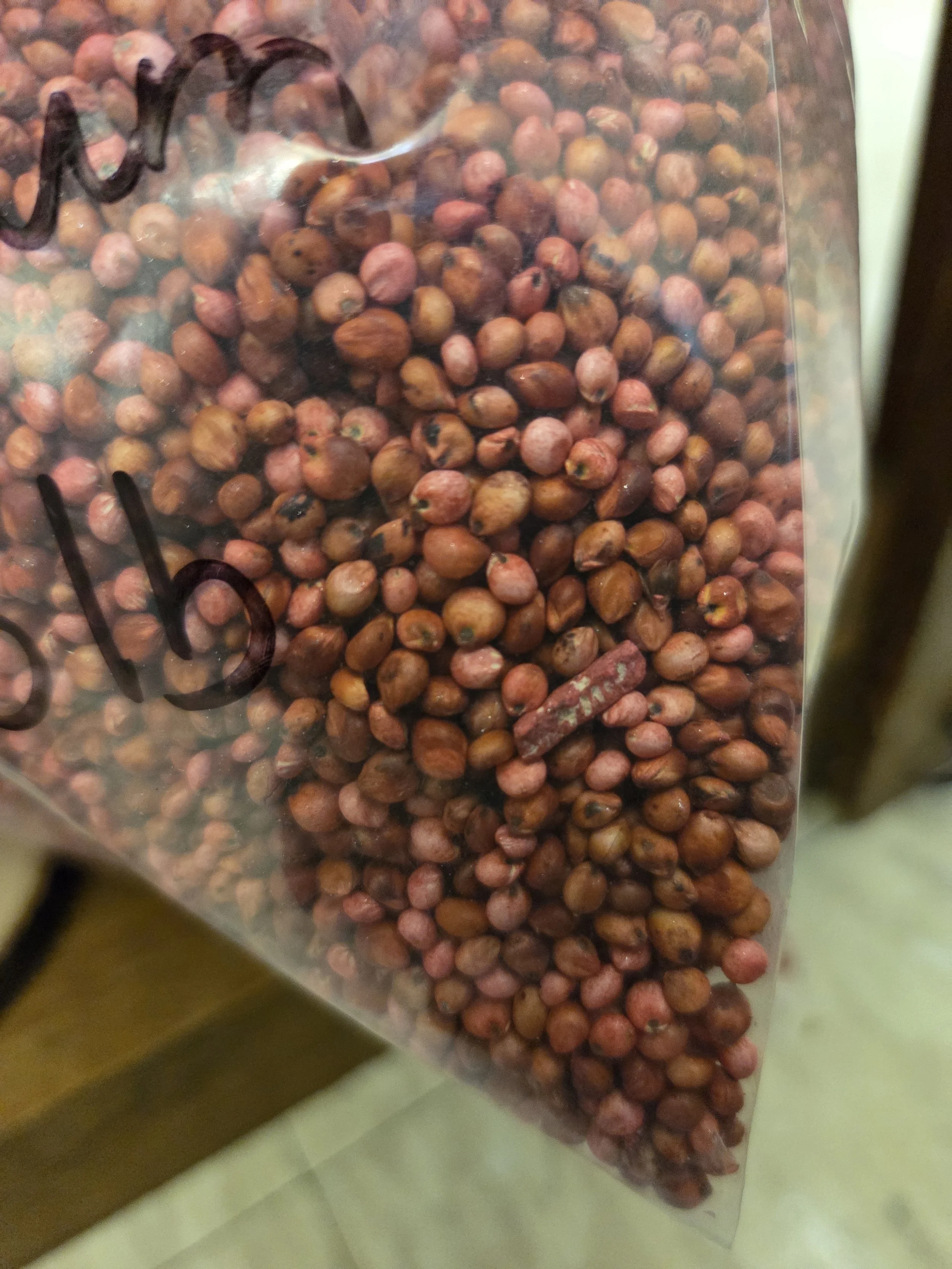SorghumSeed1.jpg