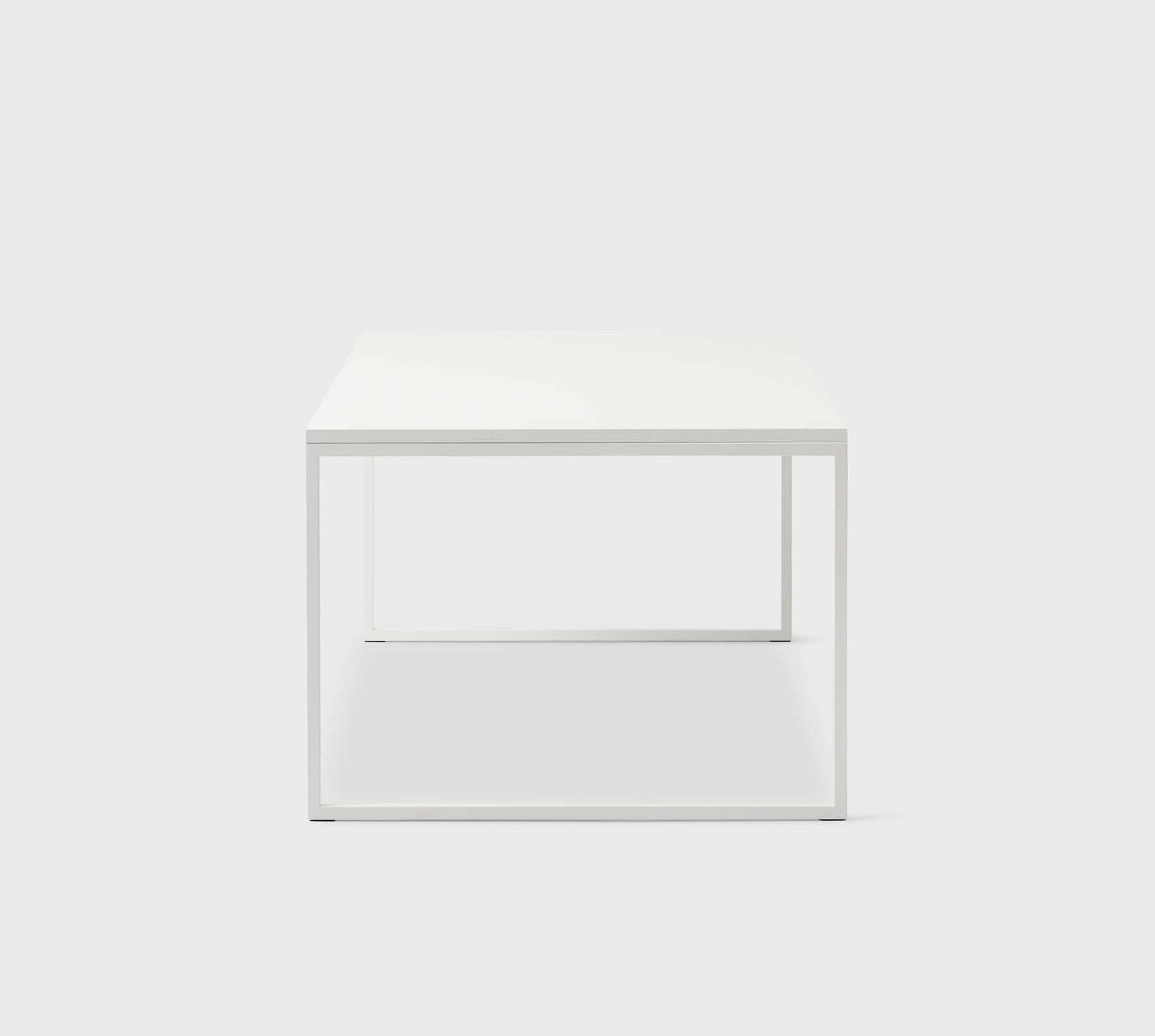 FronzoniWhite3.jpg