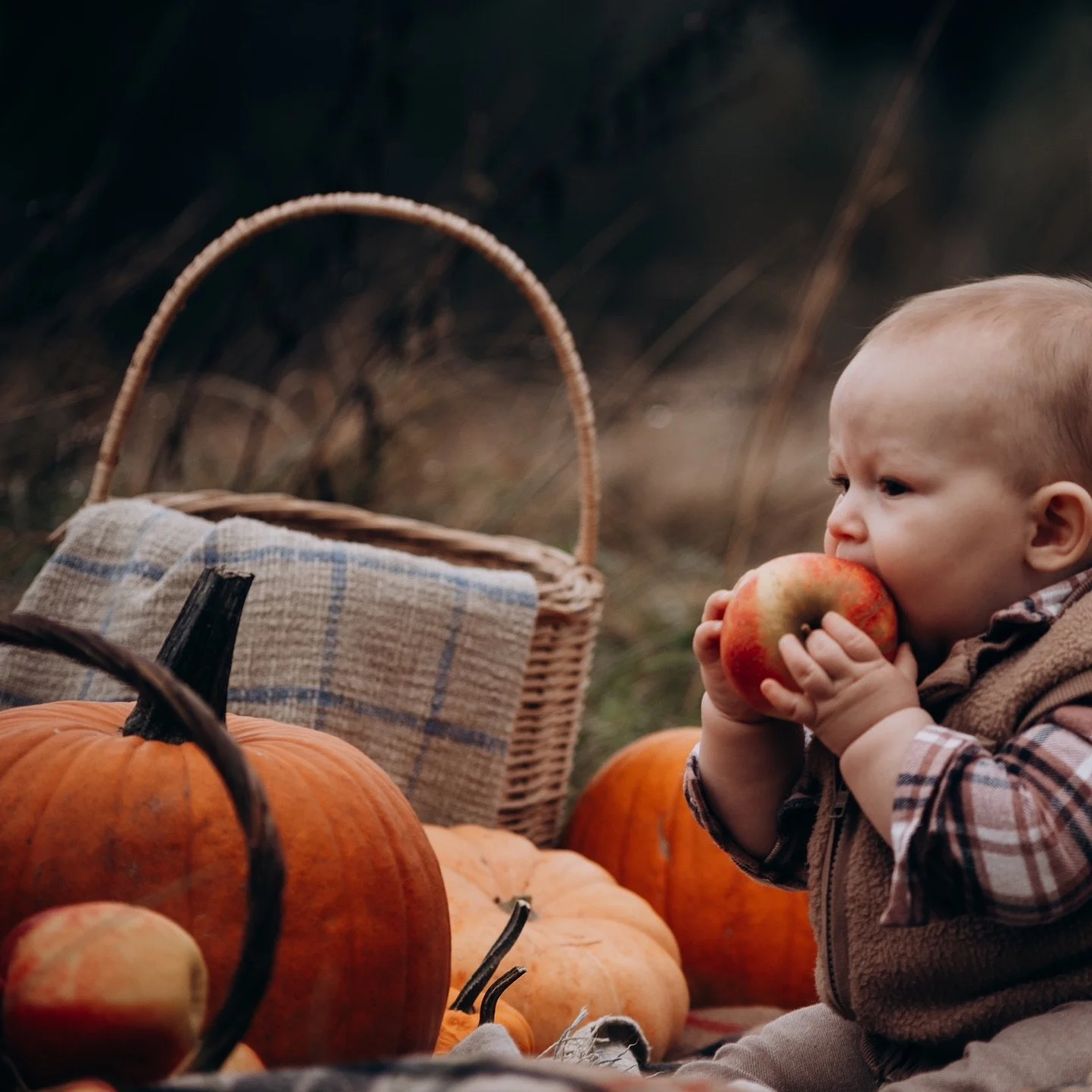 The whole world changes color.&rdquo; &ndash; Lorelei Gilmore

Als we het over herfst hebben, dan hebben we het over gilmore girls! Elk jaar kijk ik deze serie opnieuw, dan is het pas &eacute;cht herfst.

Dit mooie gezin mocht ik op hun bruiloft foto