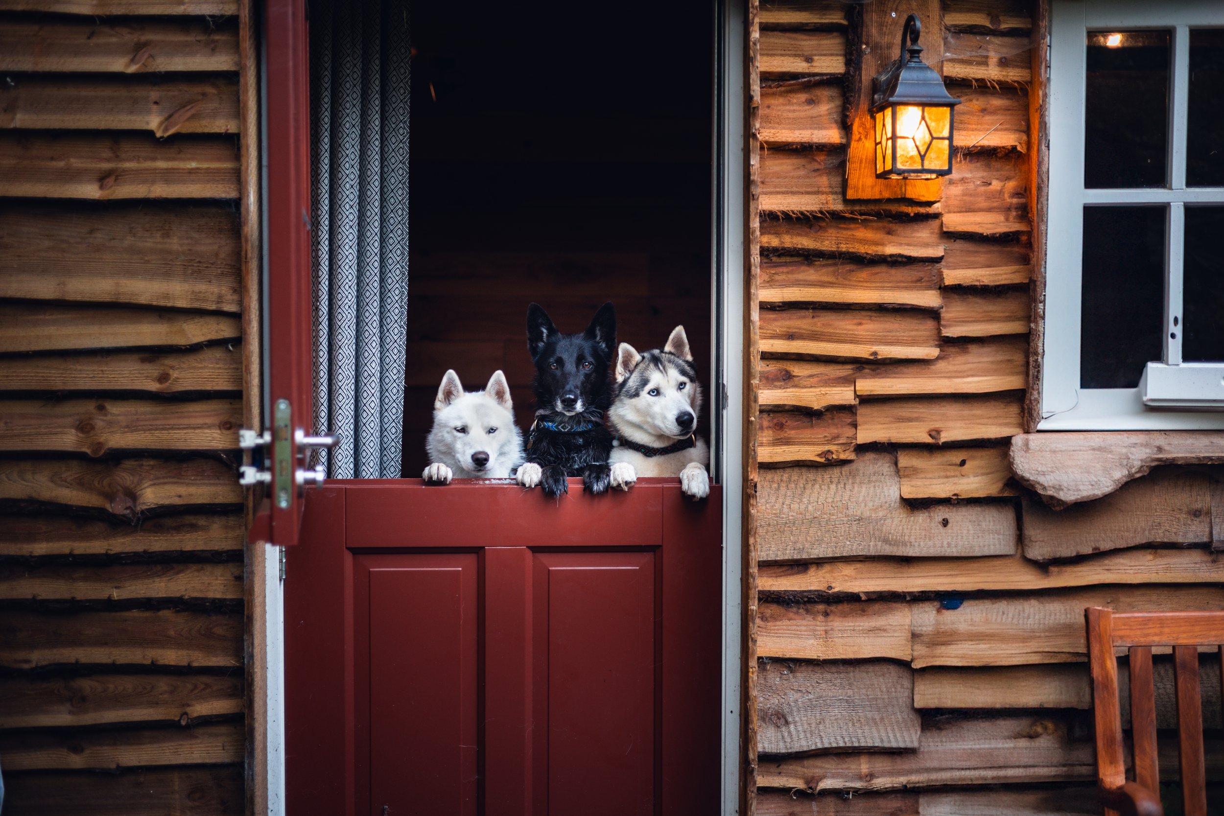323A1635-Edit.jpg