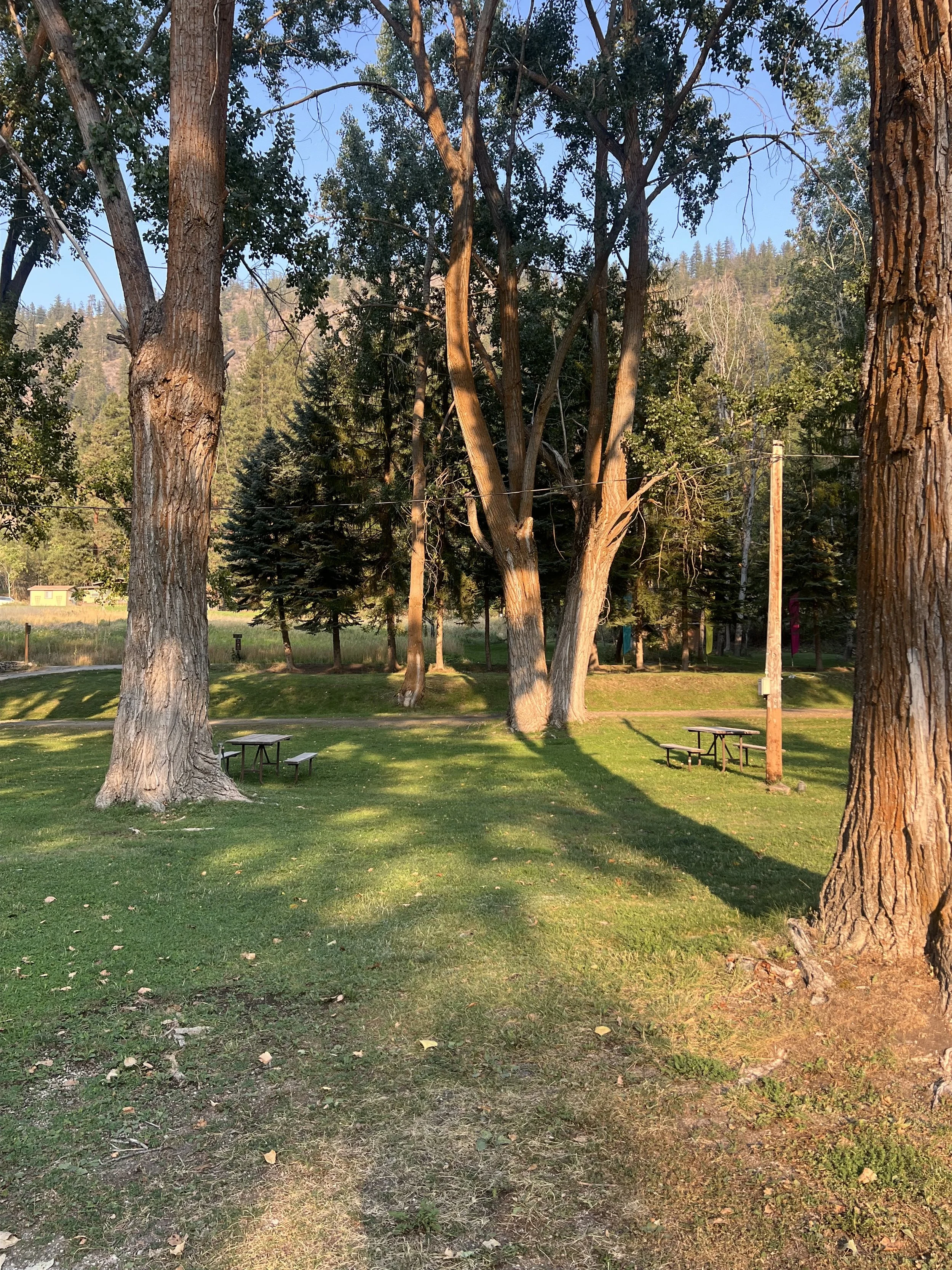 Standard Full Hookup RV Site #24