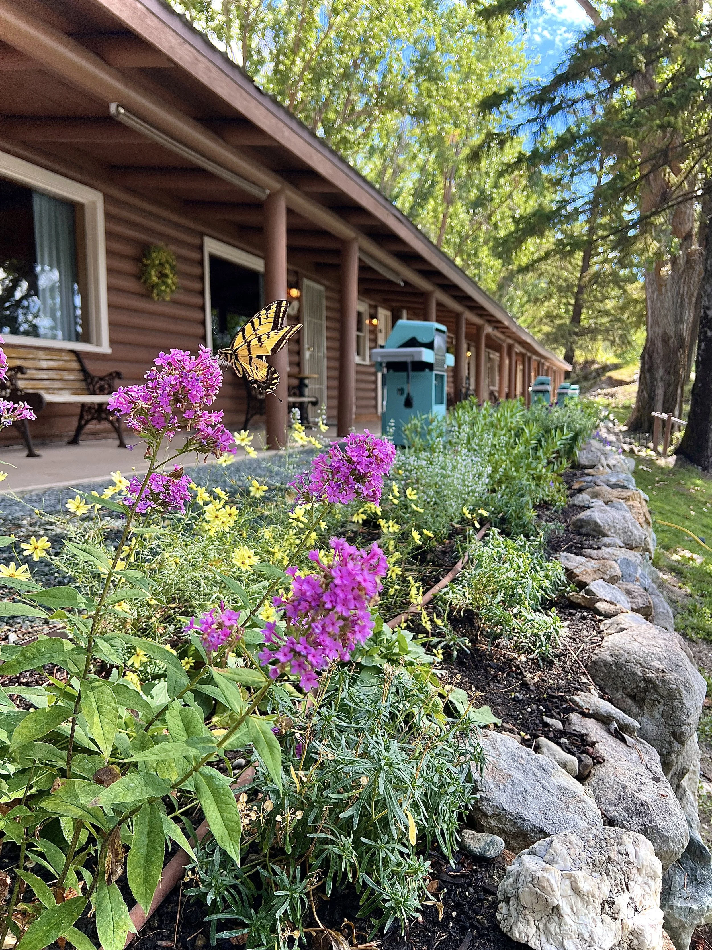 Gardens outside of Lakefront Vintage Log Studio Cabins