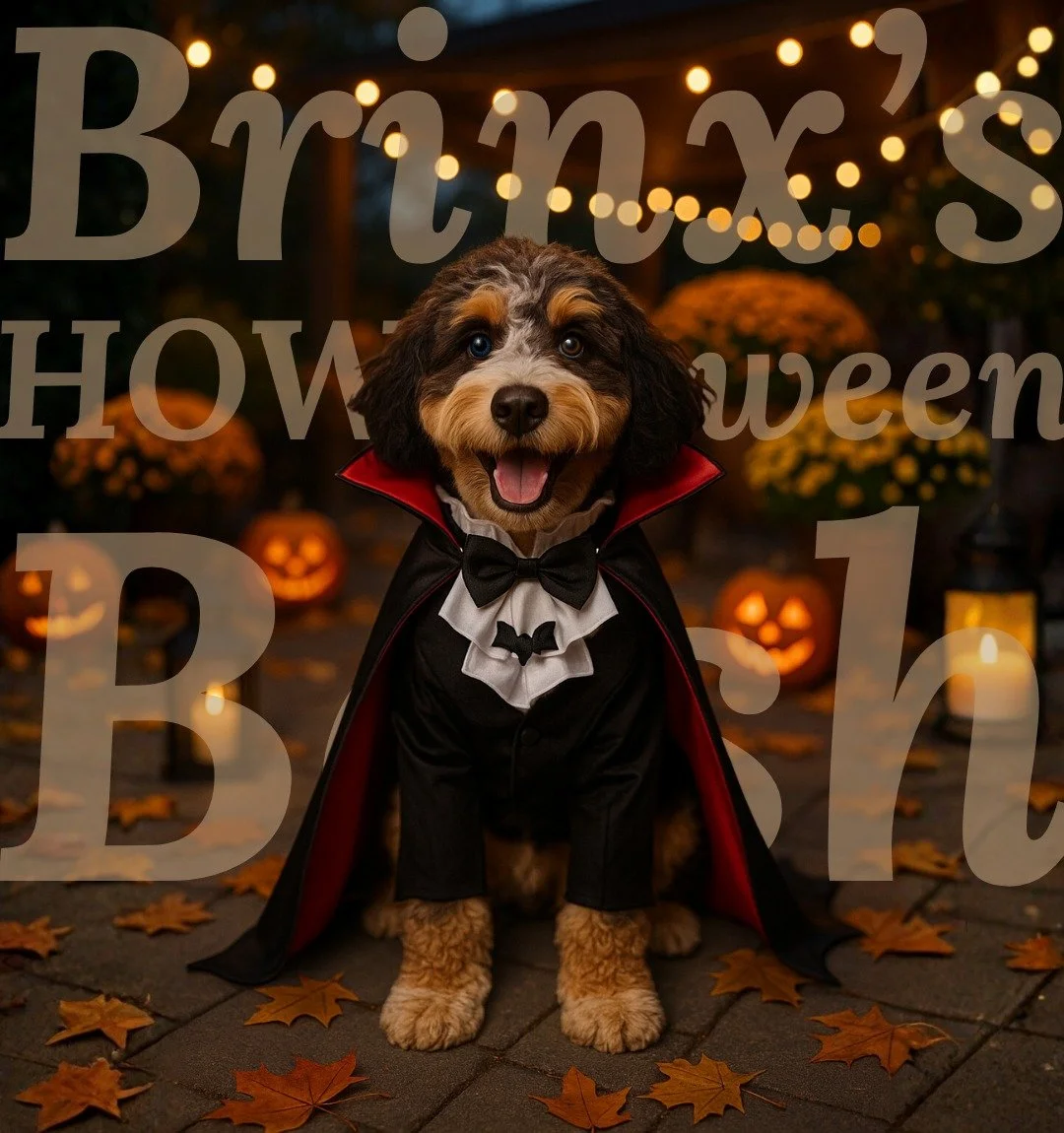 ππΎ Brinx is hosting the HOWL-oween Bash of the year! ππΎ You still have time to guess what Brinx will be for Halloween! π Swing by Treescapes this HOWL-oween, Friday from 3:30–5:30 for candy, costumes, and some tail-waggin’ fun! π»π¬