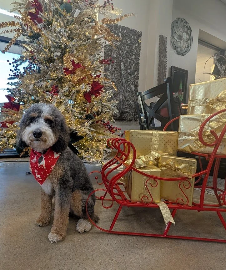 Brinx’s Backyard Blog: Outdoor Gift Guide – Brinx’s Favorites for 2025 🎁🐾