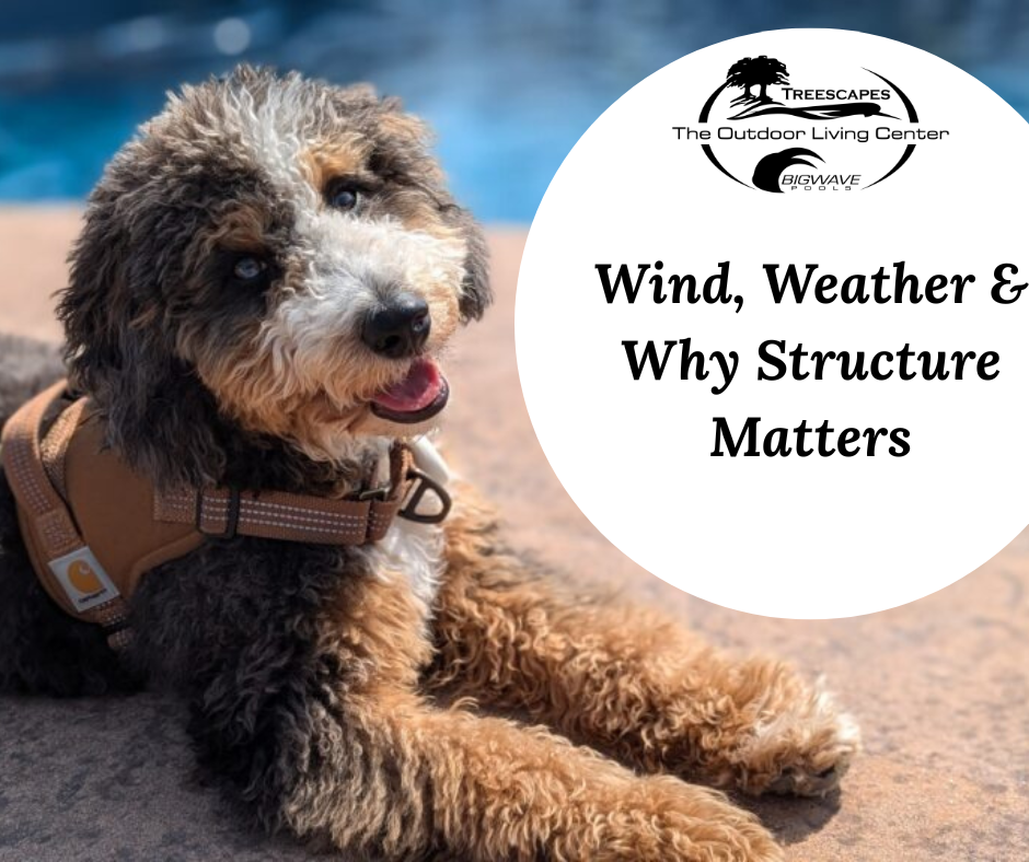 Brinx’s Backyard Blog : Wind, Weather &amp; Why Structure Matters
