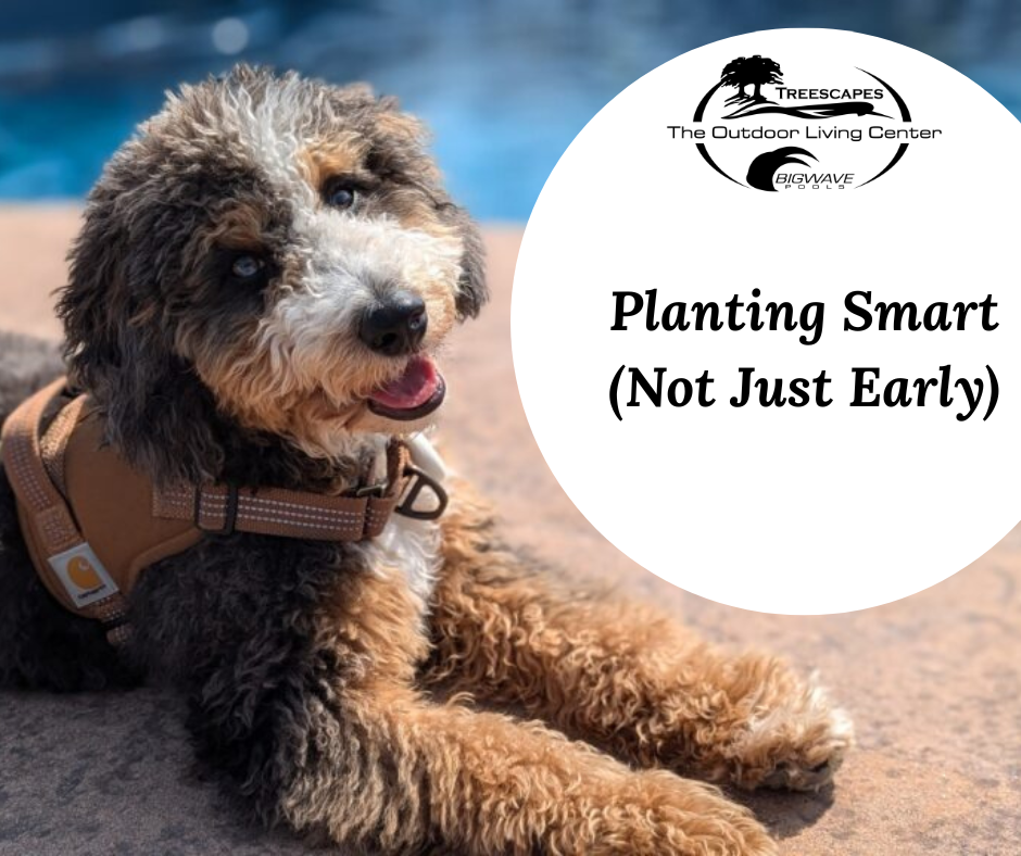 Brinx’s Backyard Blog : Planting Smart (Not Just Early)
