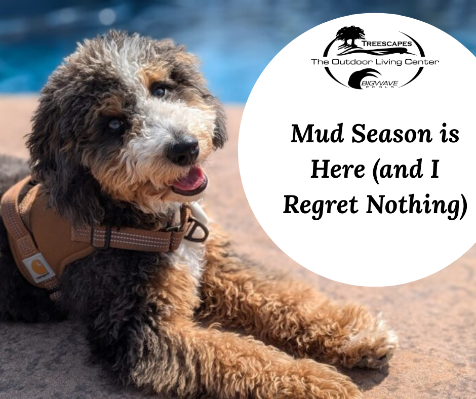 🐾 April 7th – Mud Season is Here (and I Regret Nothing)