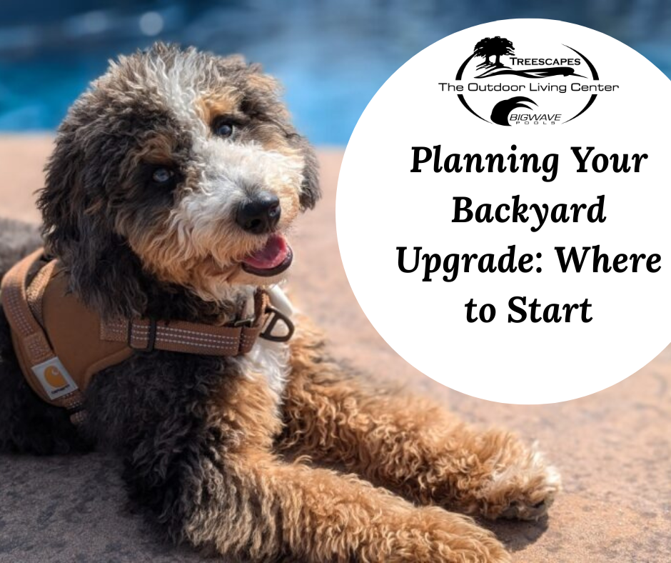 🌷 April 14th – Planning Your Backyard Upgrade: Where to Start