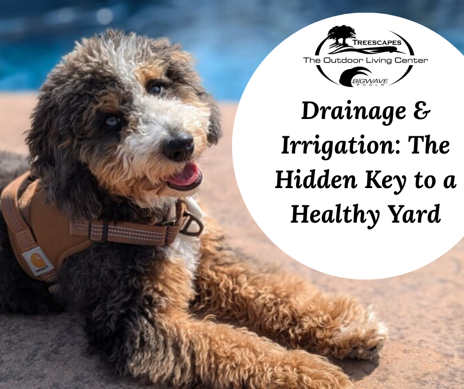 🌦️ April 21st – Drainage &amp; Irrigation: The Hidden Key to a Healthy Yard