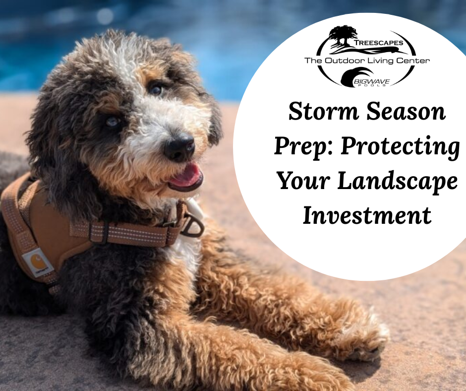 🌪️ May 11th – Storm Season Prep: Protecting Your Landscape Investment