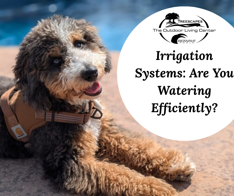 🌤️ May 18th – Irrigation Systems: Are You Watering Efficiently?