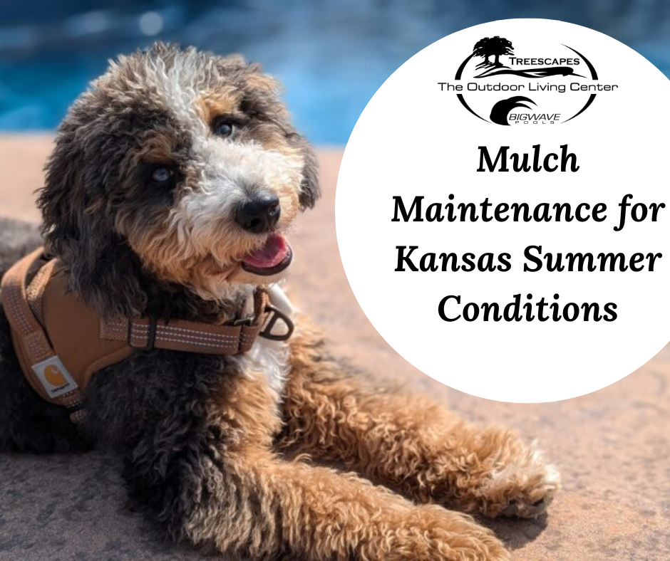 June 8th – Mulch Maintenance for Kansas Summer Conditions