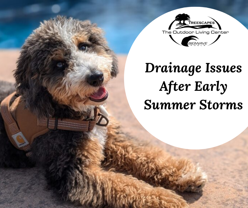 June 15th – Drainage Issues After Early Summer Storms