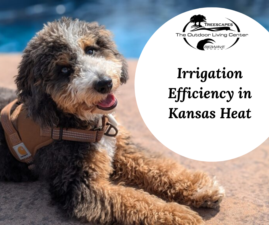 June 22nd – Irrigation Efficiency in Kansas Heat