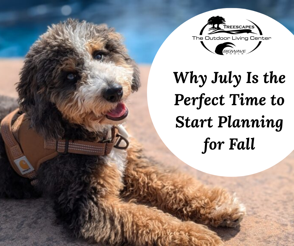 July 13 - Why July Is the Perfect Time to Start Planning for Fall