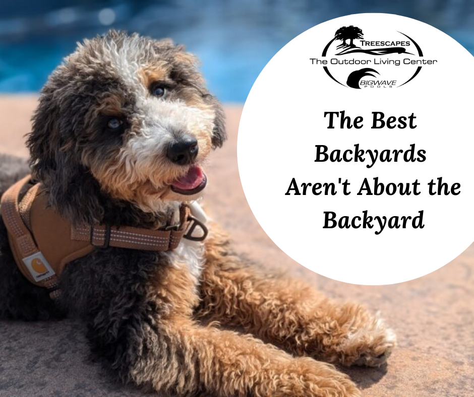 July 27 - The Best Backyards Aren't About the Backyard