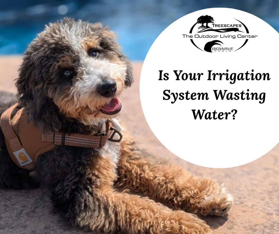 Monday, August 10th – Is Your Irrigation System Wasting Water?