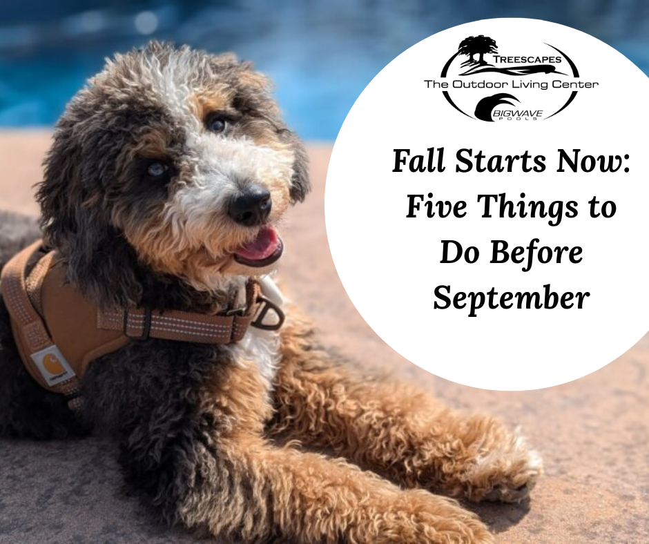 Monday, August 31st – Fall Starts Now: Five Things to Do Before September