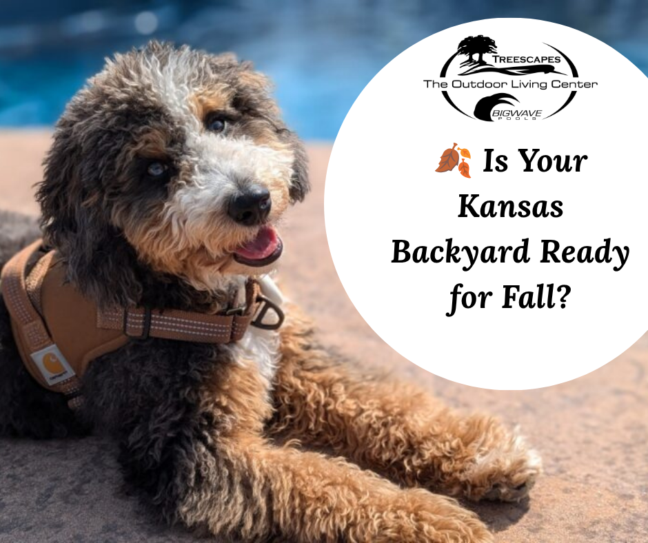 🍂 Is Your Kansas Backyard Ready for Fall?
